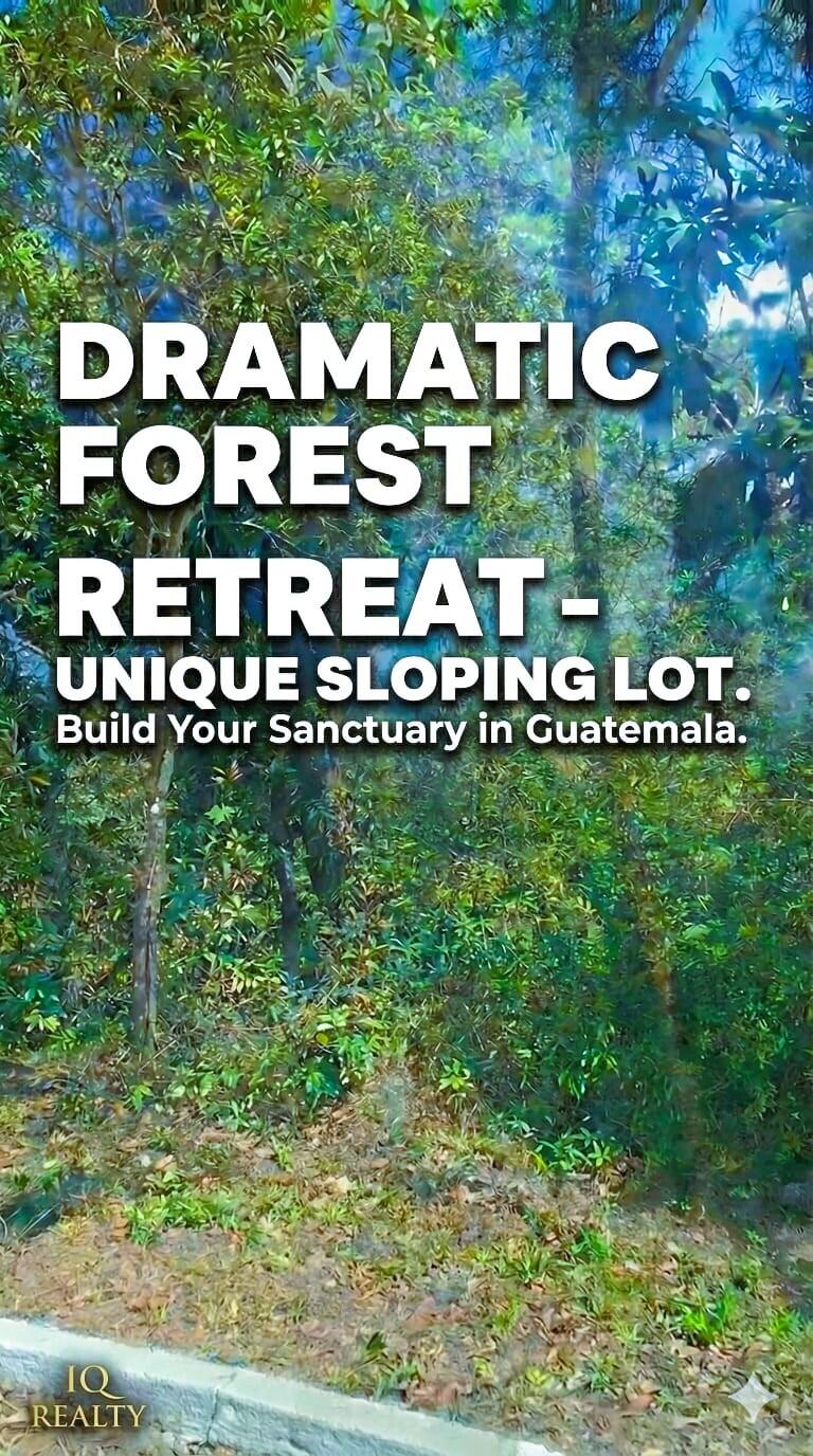 Lot 61 Tronco 15, Zona 7th