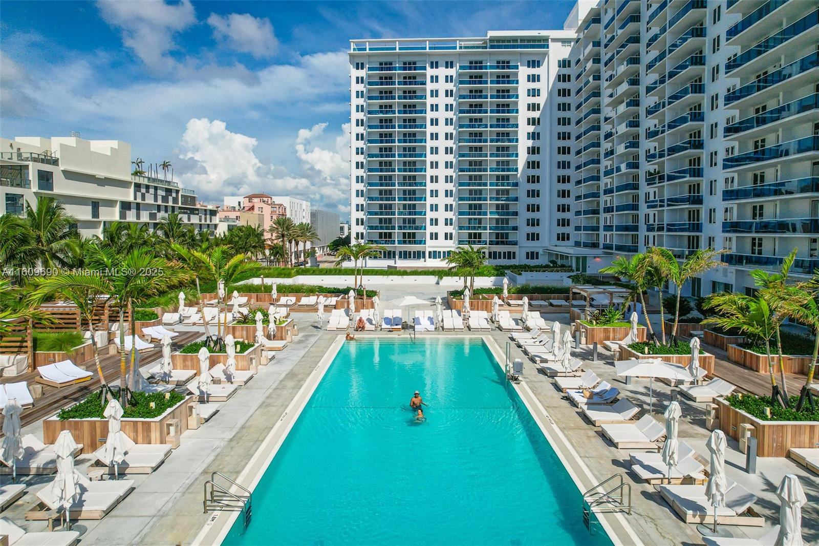 image Roney Palace49