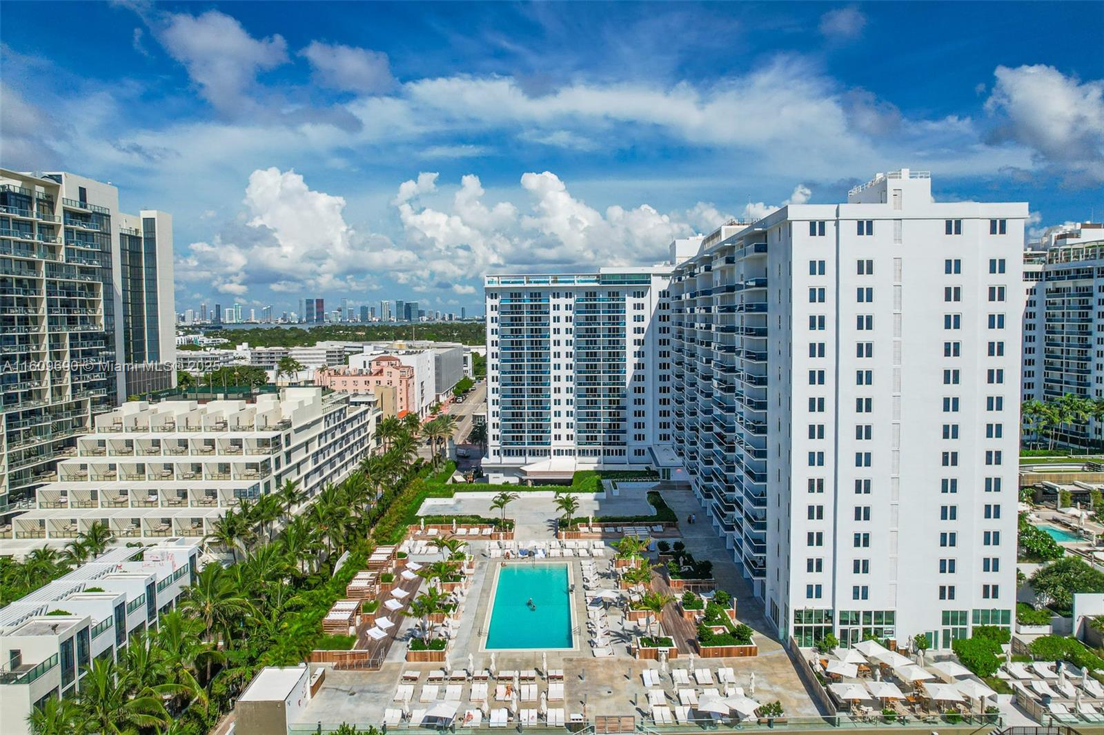 image Roney Palace51