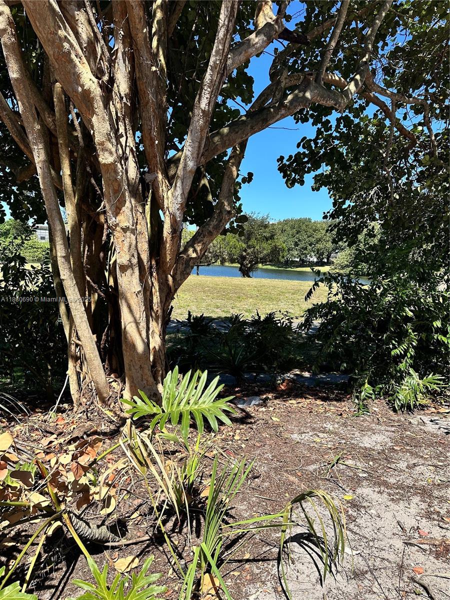 Undisclosed Address,Lauderhill, FL 33319