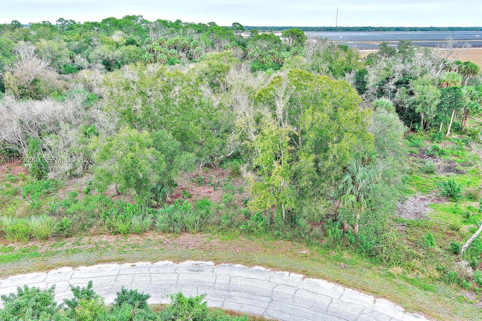 173 Carousel Ave, La Belle, FL 33935