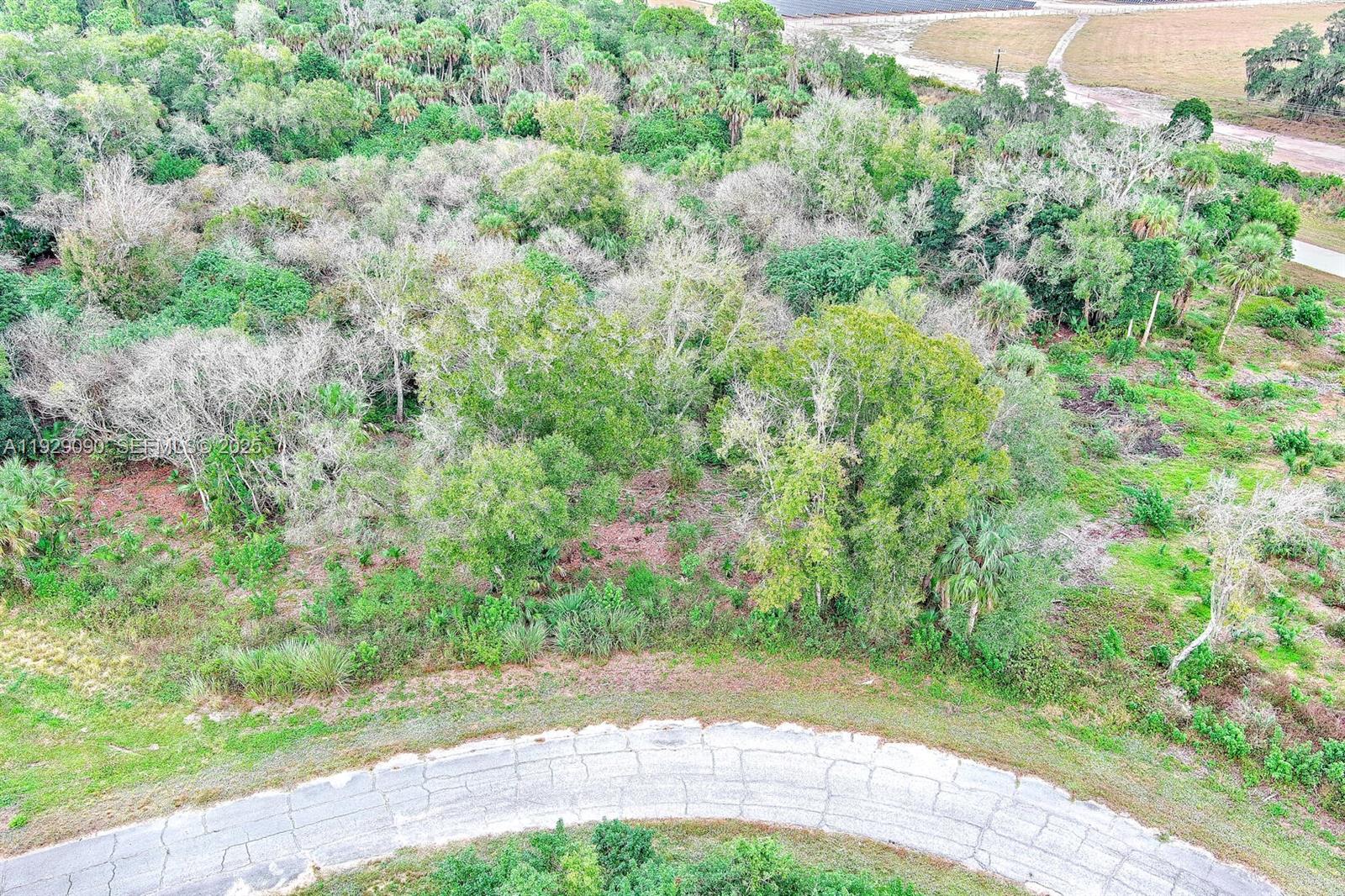 173 Carousel Ave La Belle, FL 33935