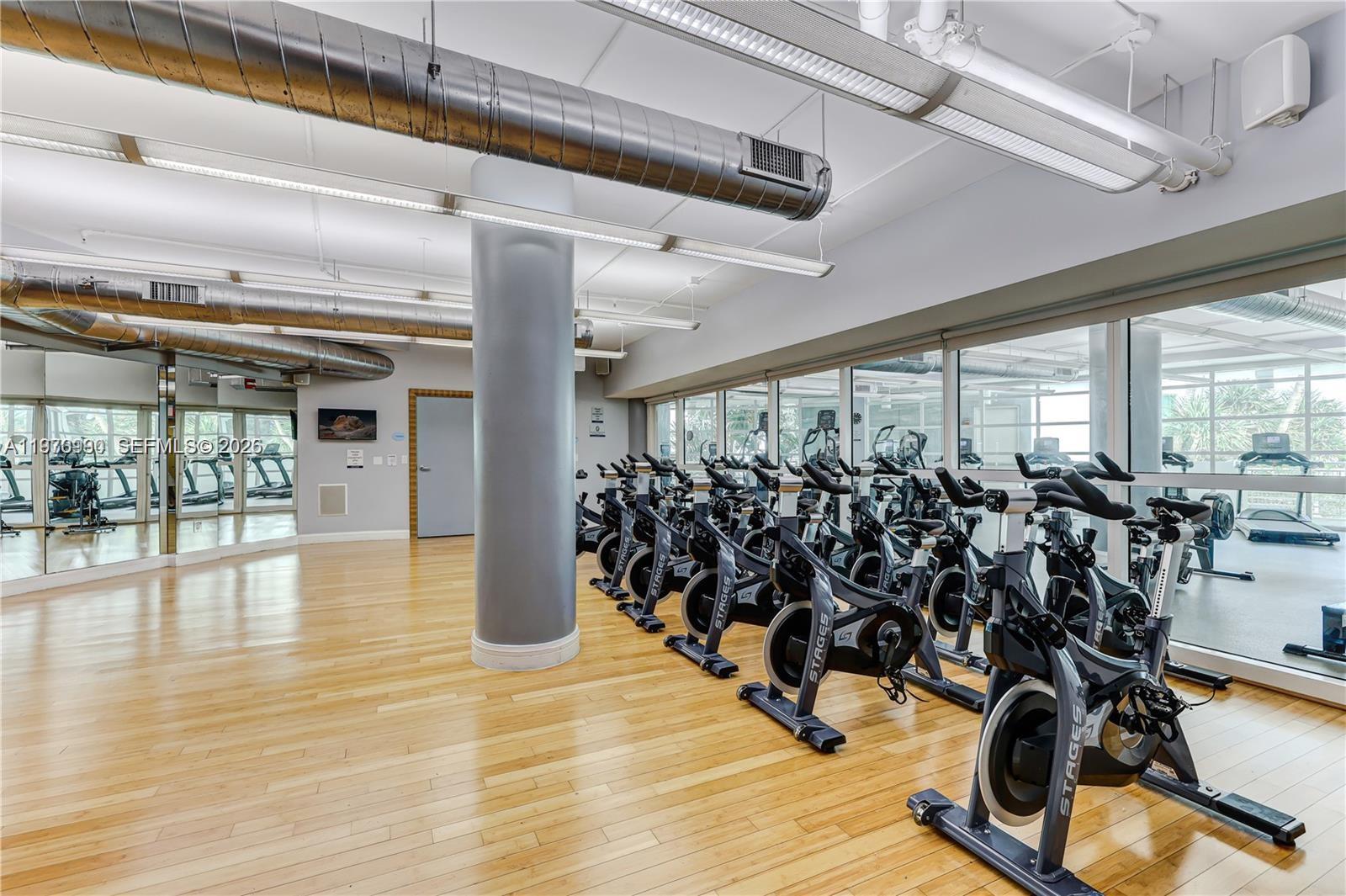 image Vizcayne South40