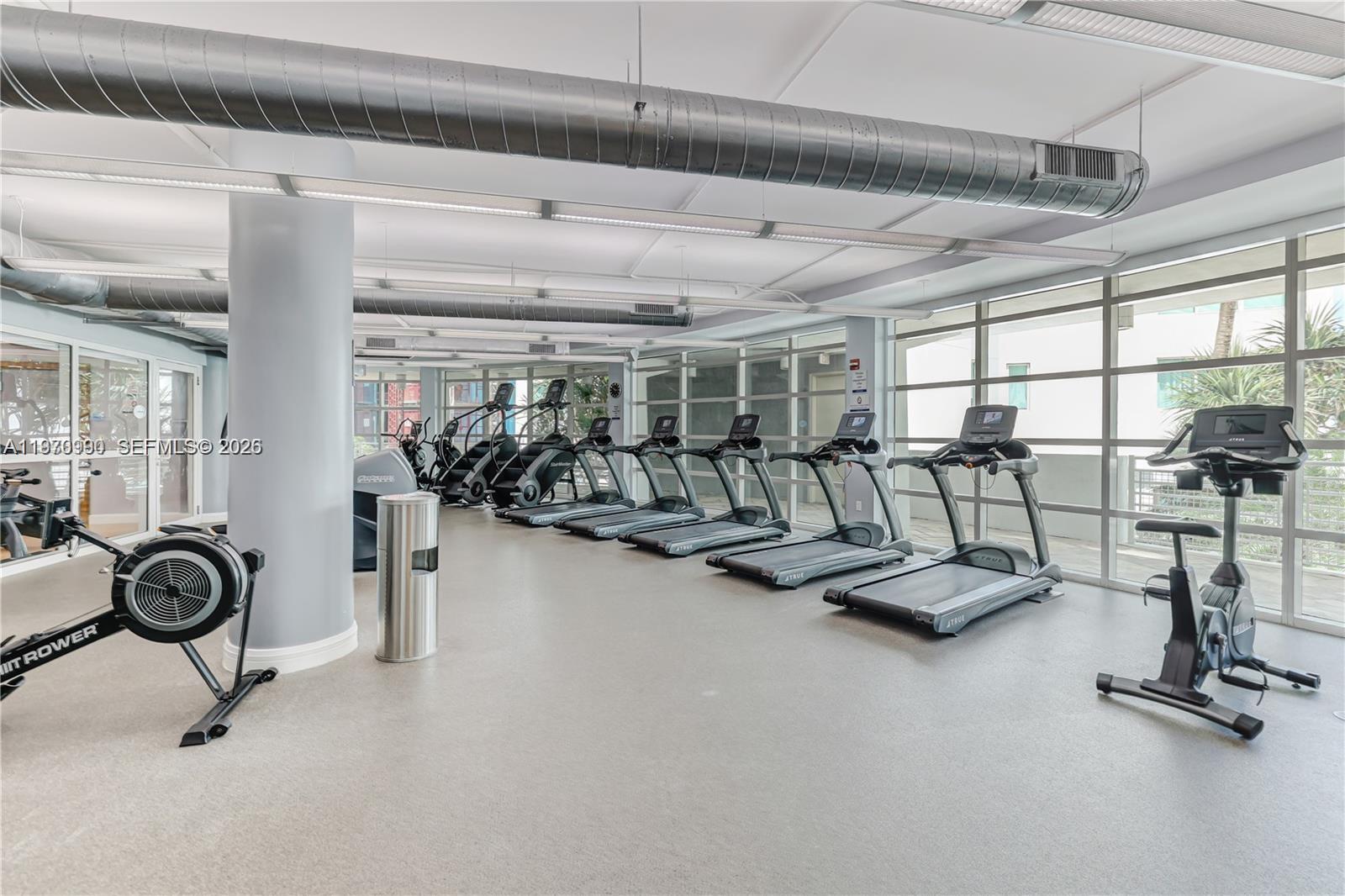 image Vizcayne South41