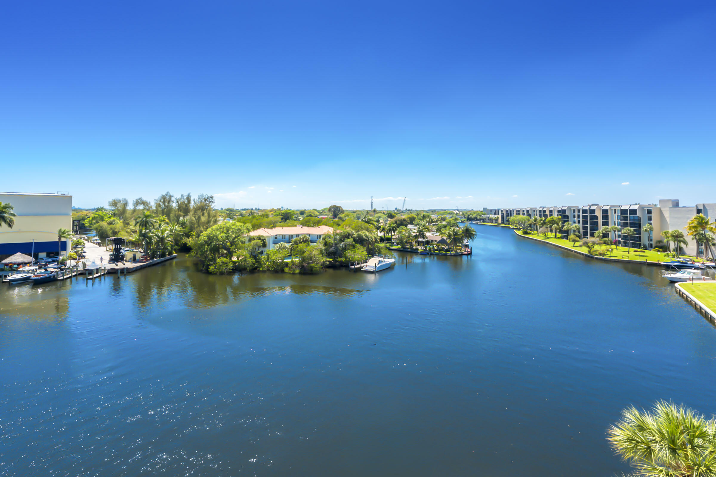 22 Royal Palm #Ph606