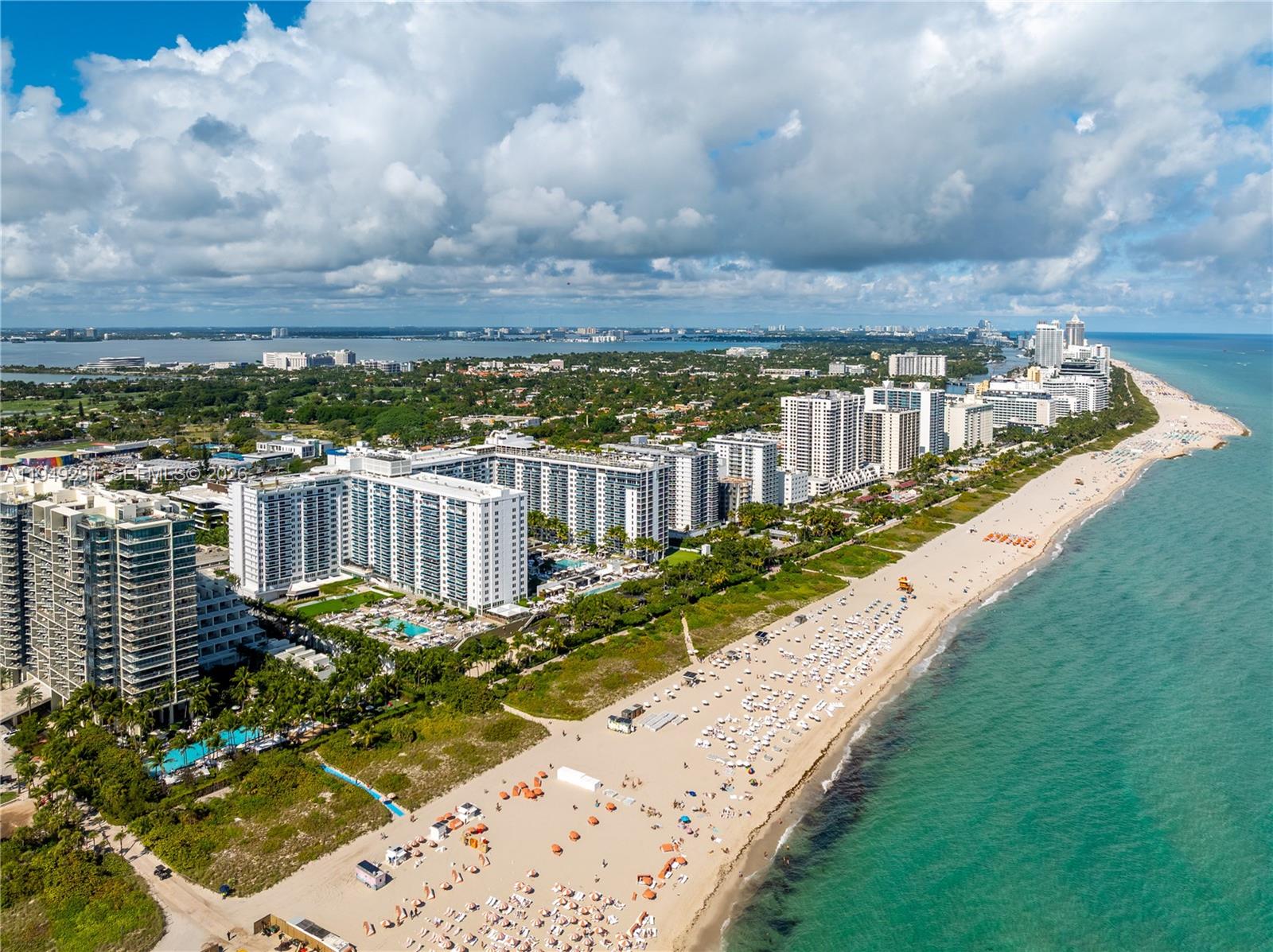 image Roney Palace30