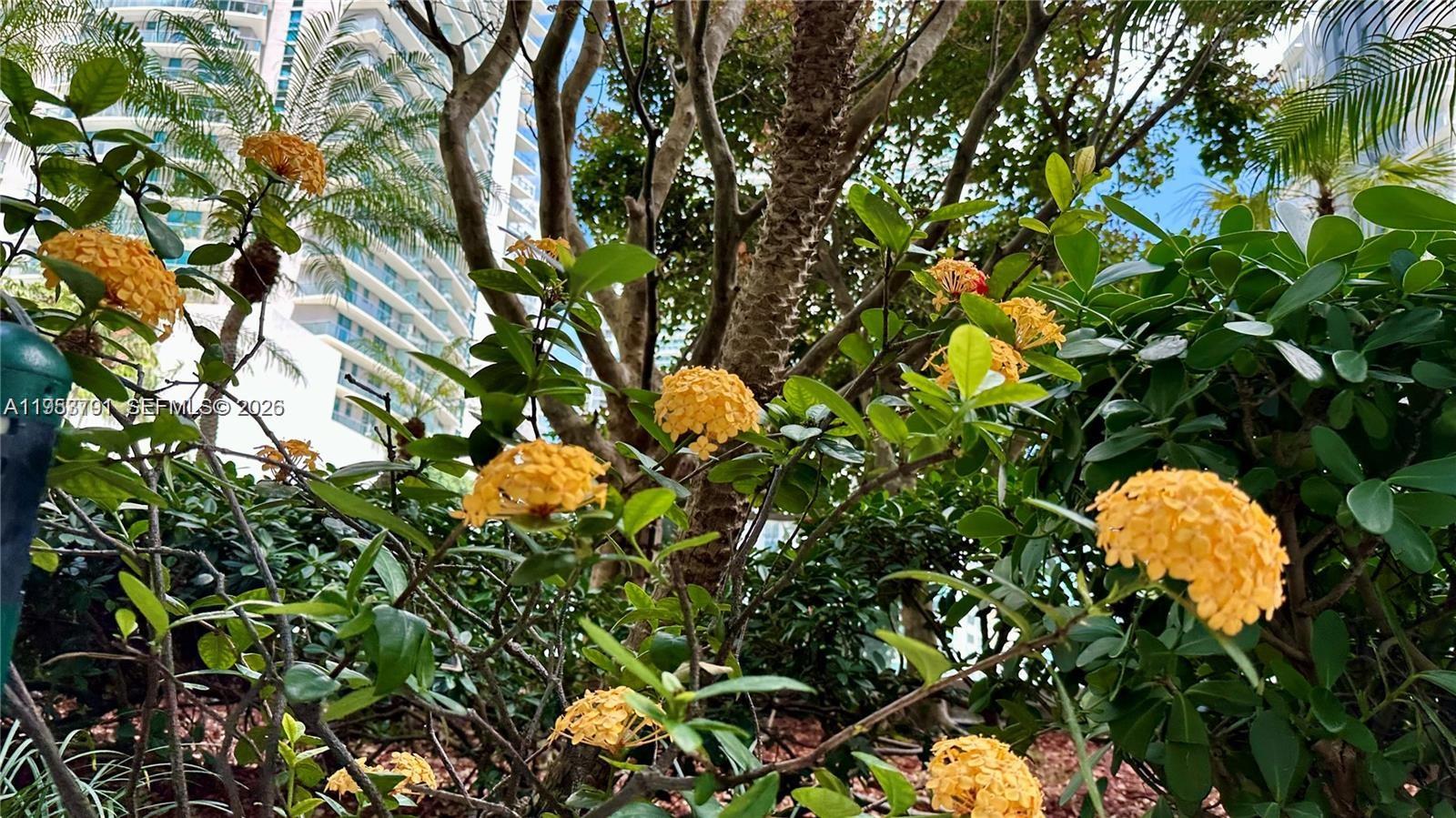 image Axis on Brickell South19