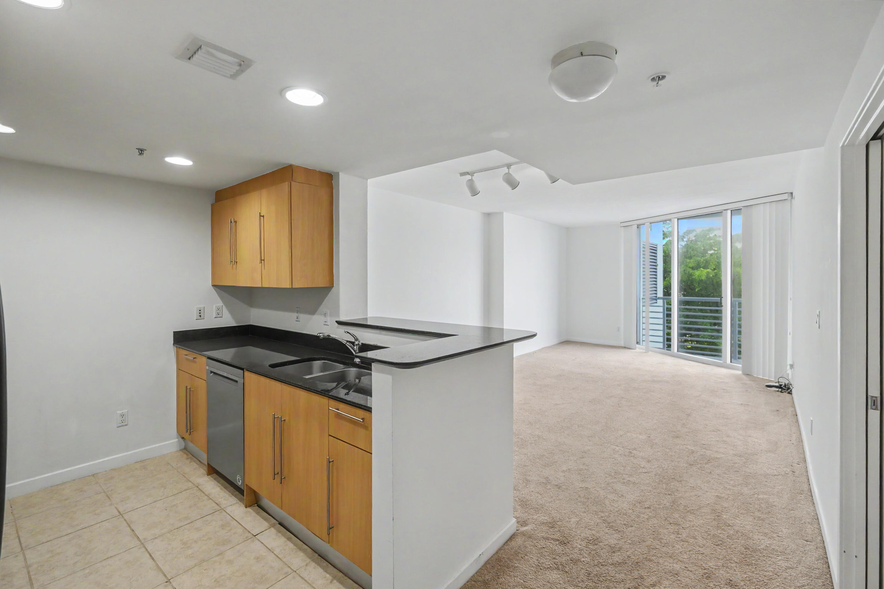 335 S Biscayne Blvd #1002