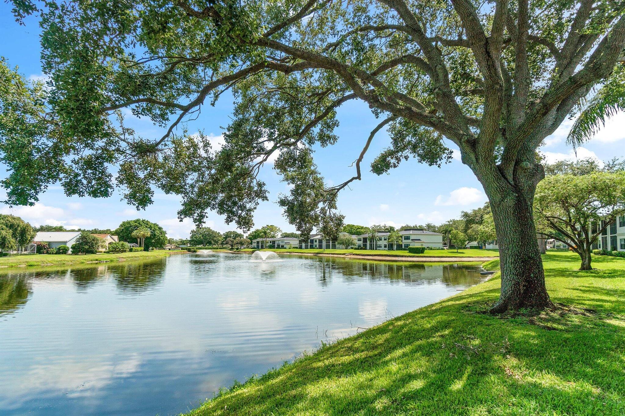6944 Briarlake Cir #203