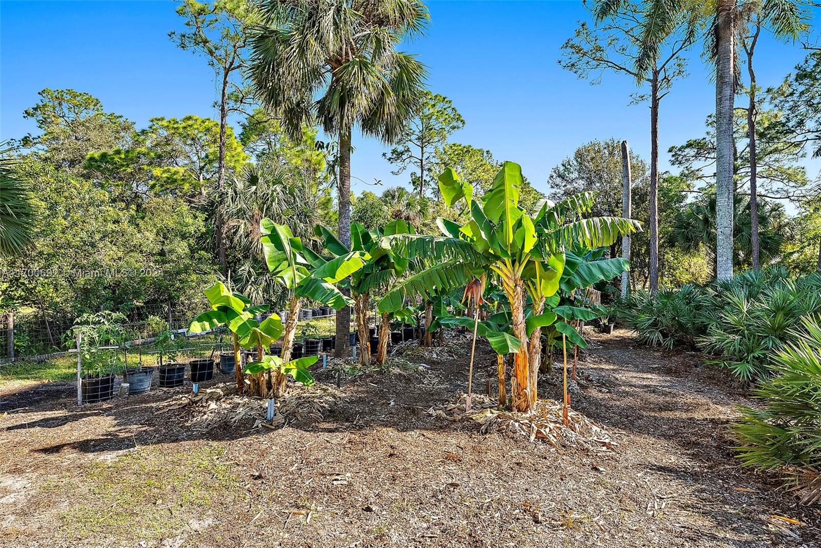 12743 N 164th Ct N Jupiter, FL 33478