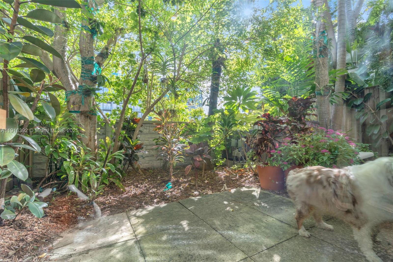 1162 98th St #4 Bay Harbor Islands, FL 33154