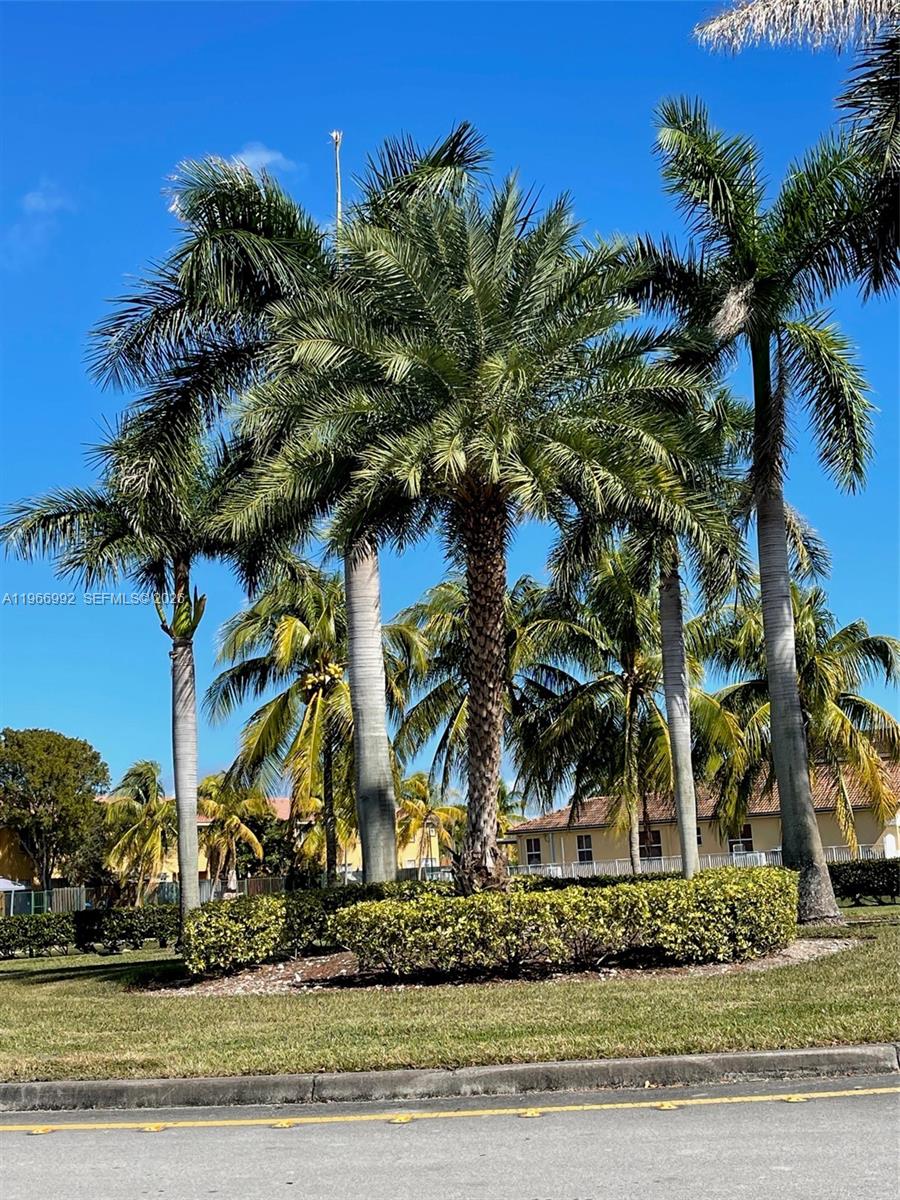 24063 SW 109th Ave Homestead, FL 33032