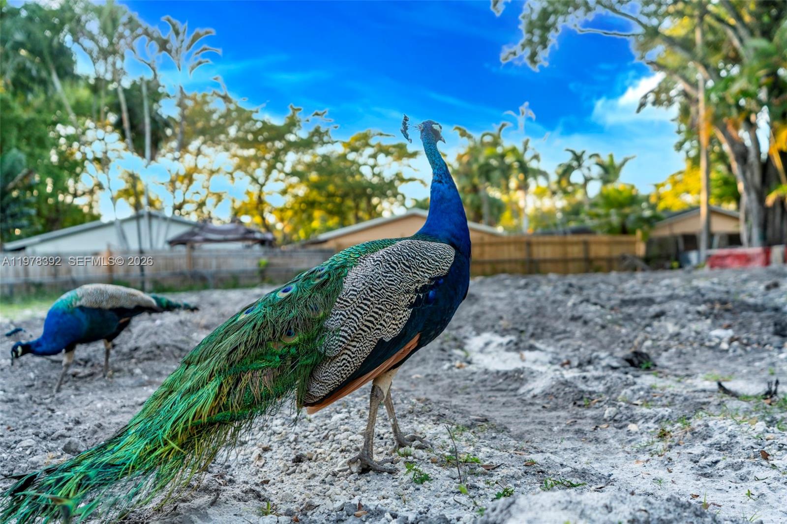 2361 SW 18th Ave Fort Lauderdale, FL 33315