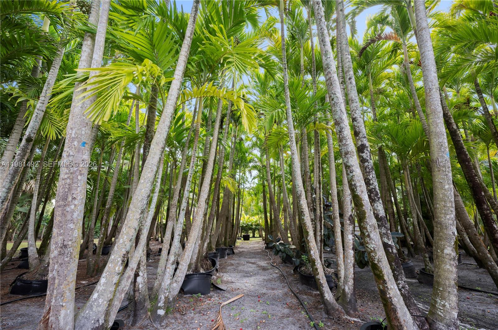 12263 Sandy Run Rd Jupiter, FL 33478