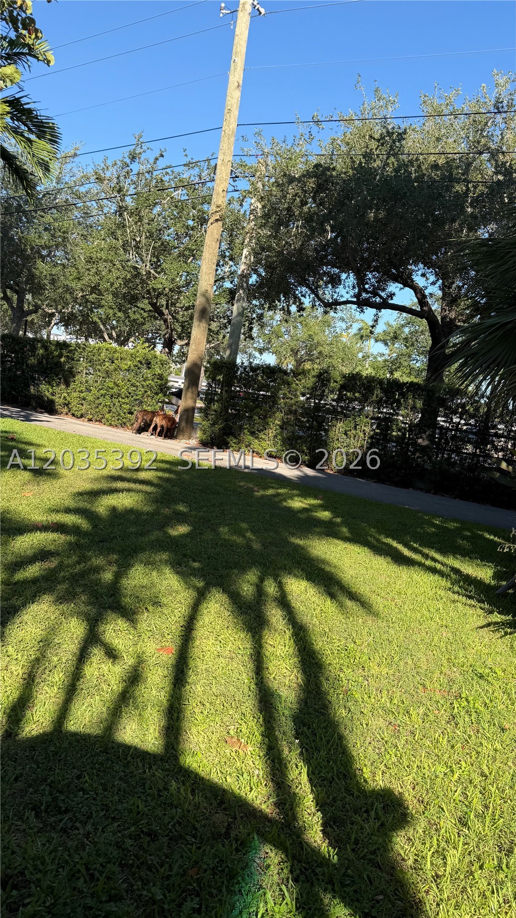 10115 Biscayne Blvd Miami Shores, FL 33138