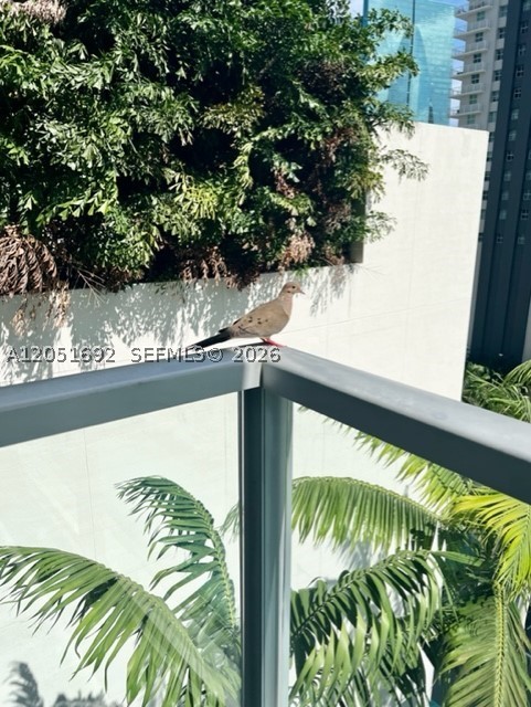 image Axis on Brickell North8