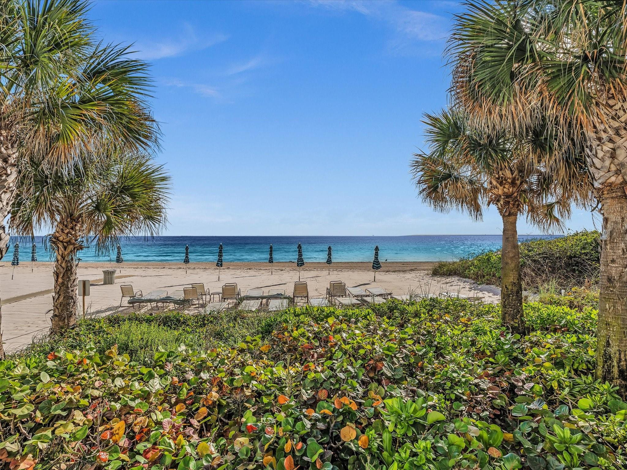 3550 Galt Ocean #1501 Fort Lauderdale, FL 33308