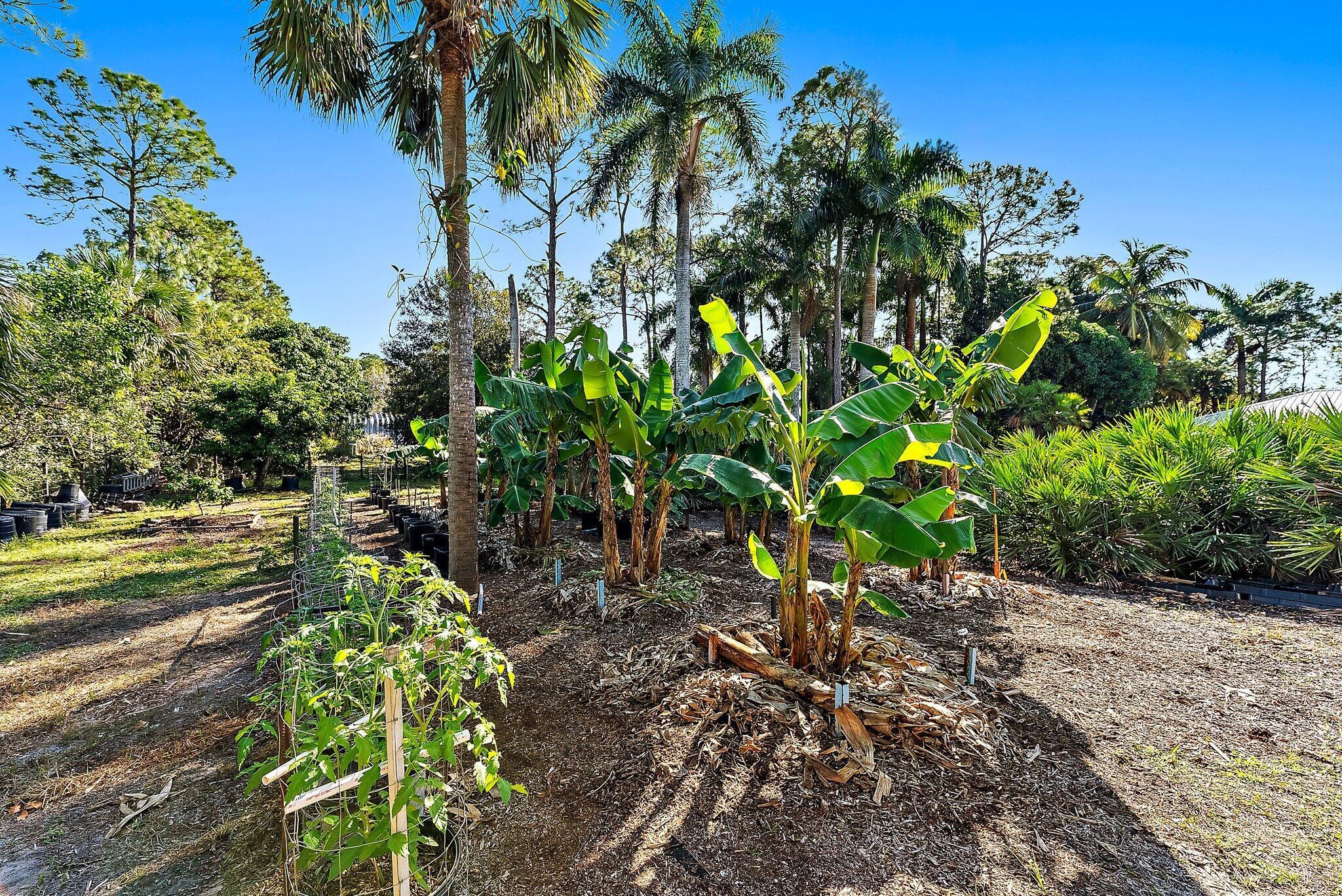 12743 164th Ct Jupiter, FL 33478