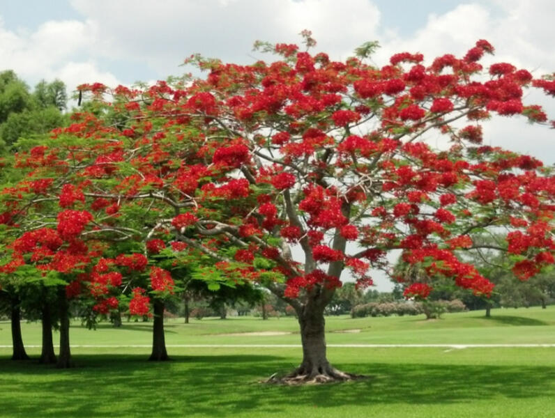 9179 SE Riverfront #F Jupiter, FL 33469