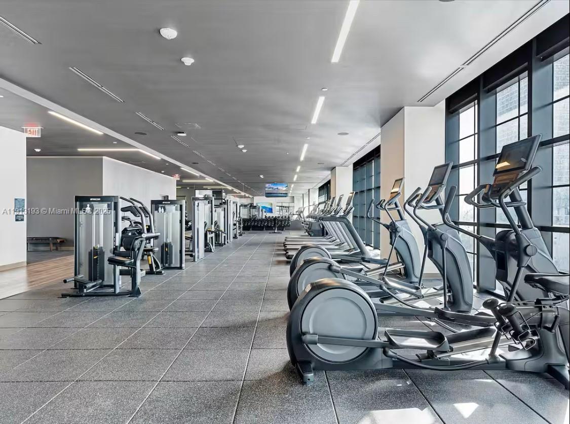 image Nattivo / Gale29