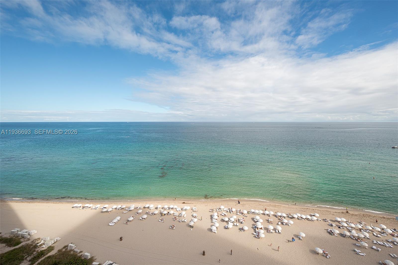 image Trump Palace23