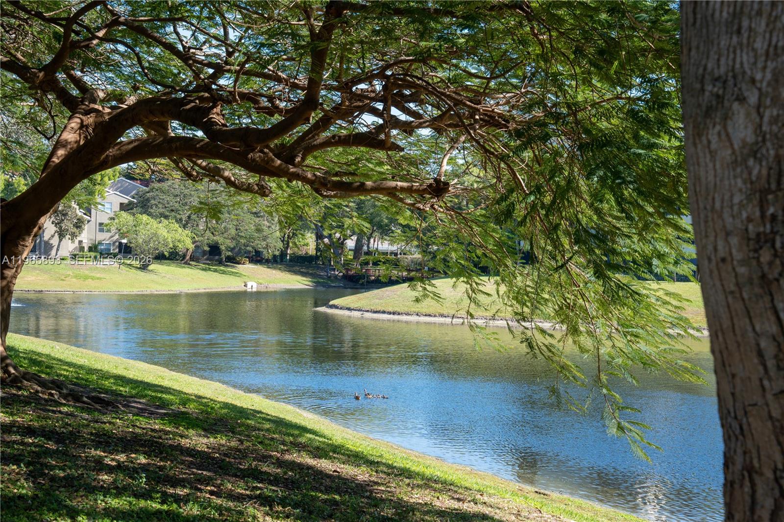 1865 Palm Cv Blvd #308 Delray Beach, FL 33445