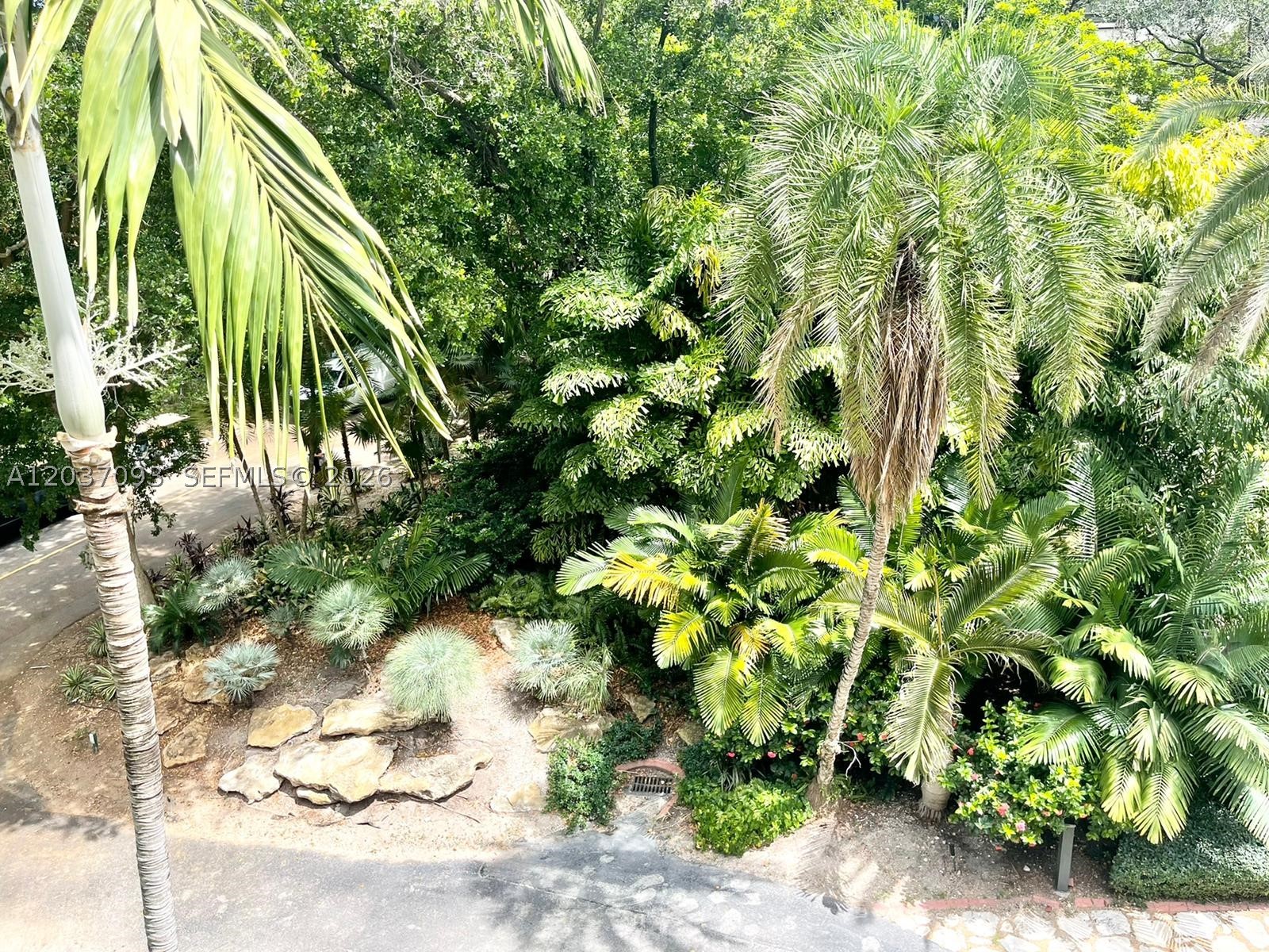 image Botanica at Key Colony43