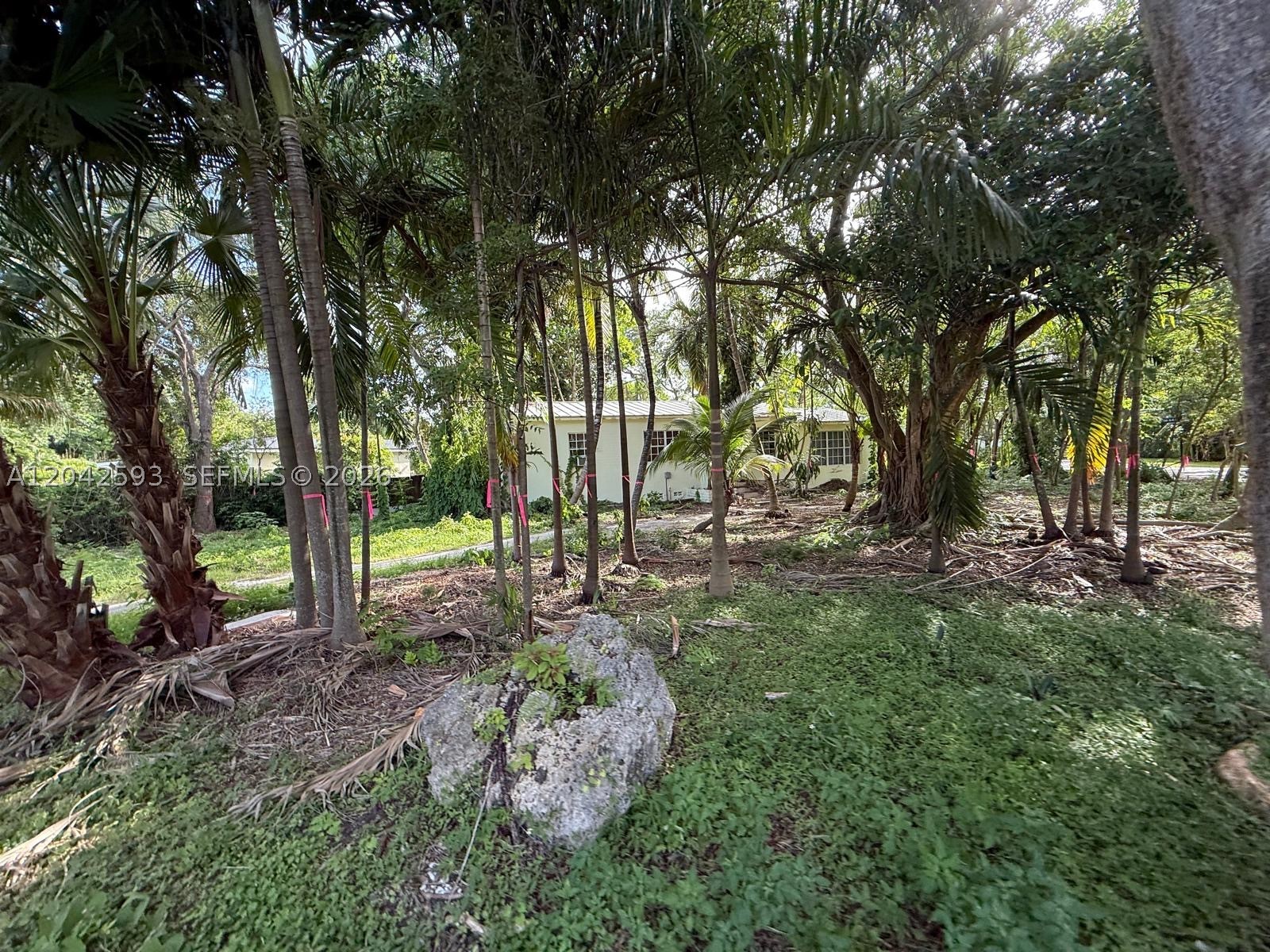 6600 SW 64th Ct South Miami, FL 33143