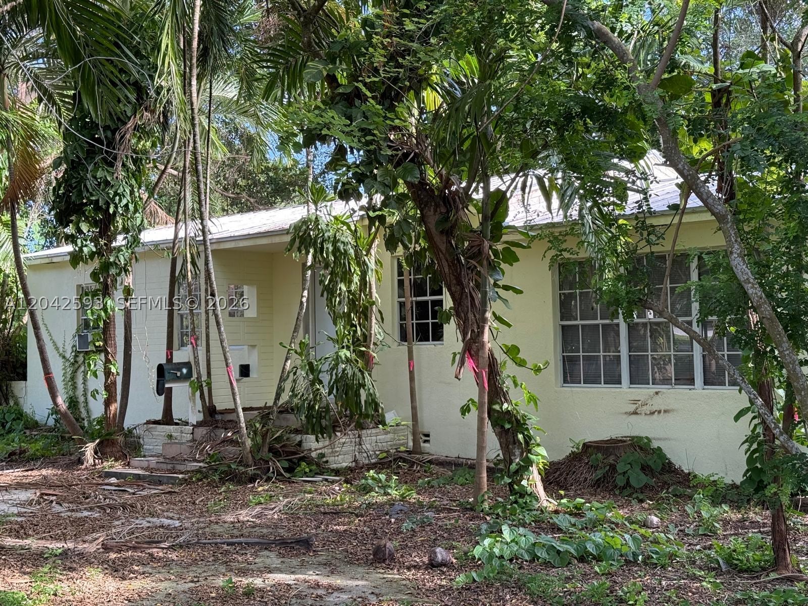 6600 SW 64th Ct South Miami, FL 33143