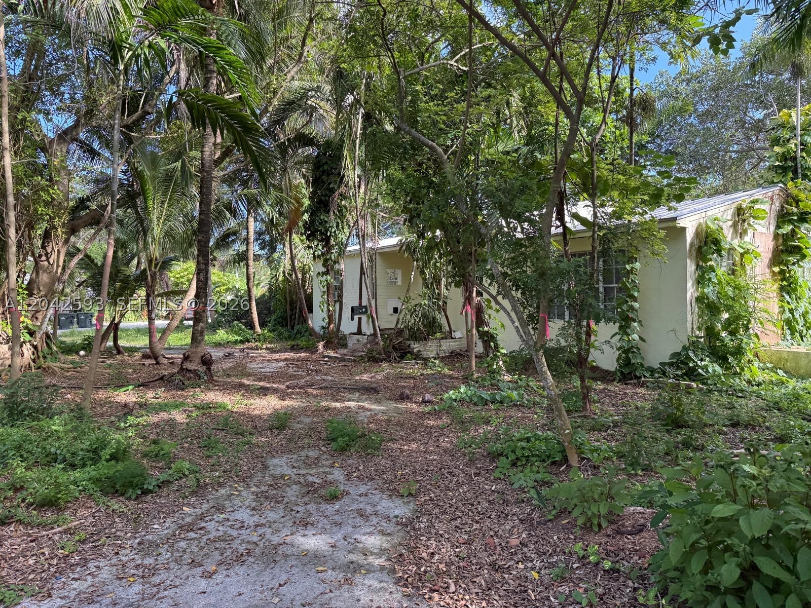 6600 SW 64th Ct South Miami, FL 33143