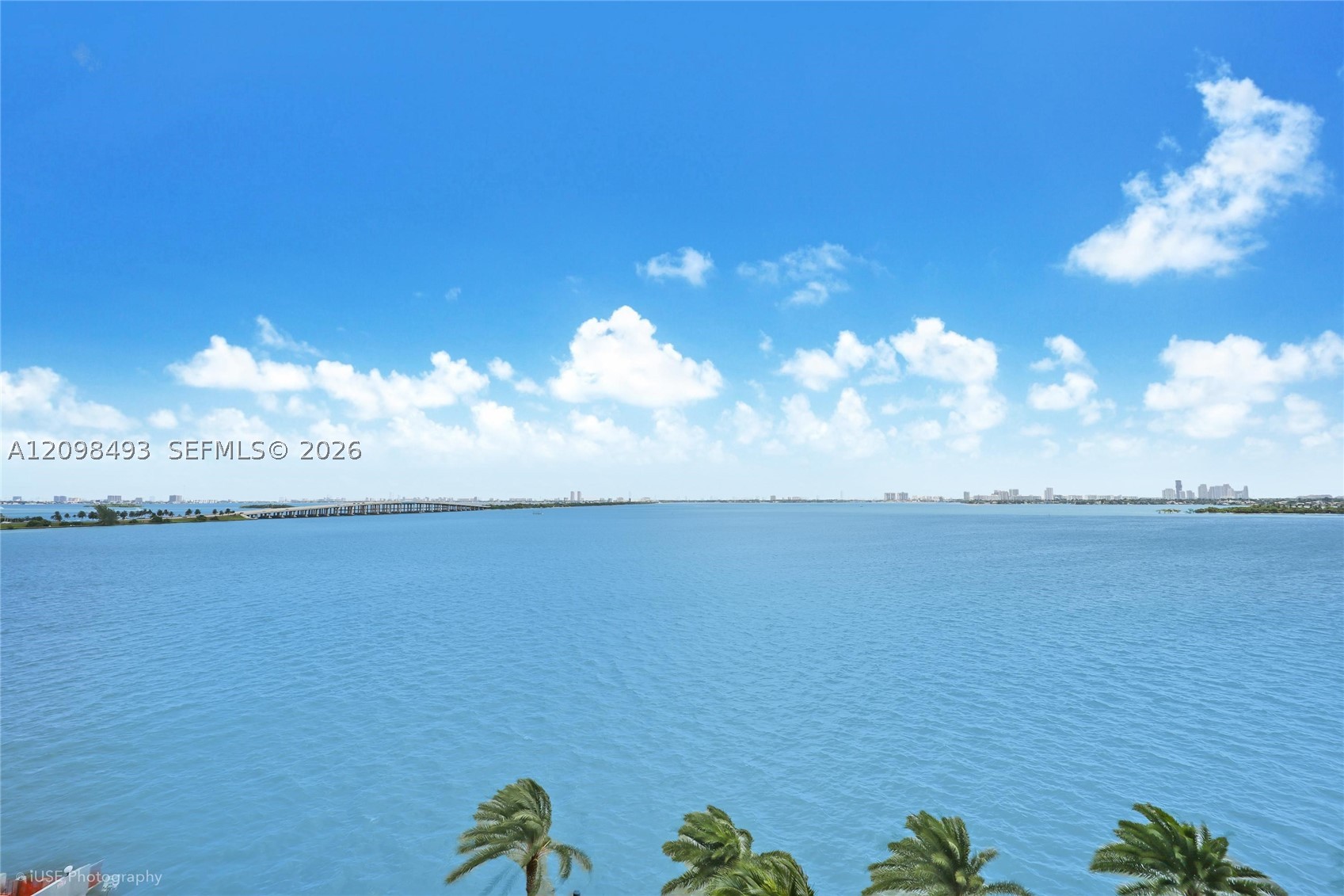 image Biscayne Beach13