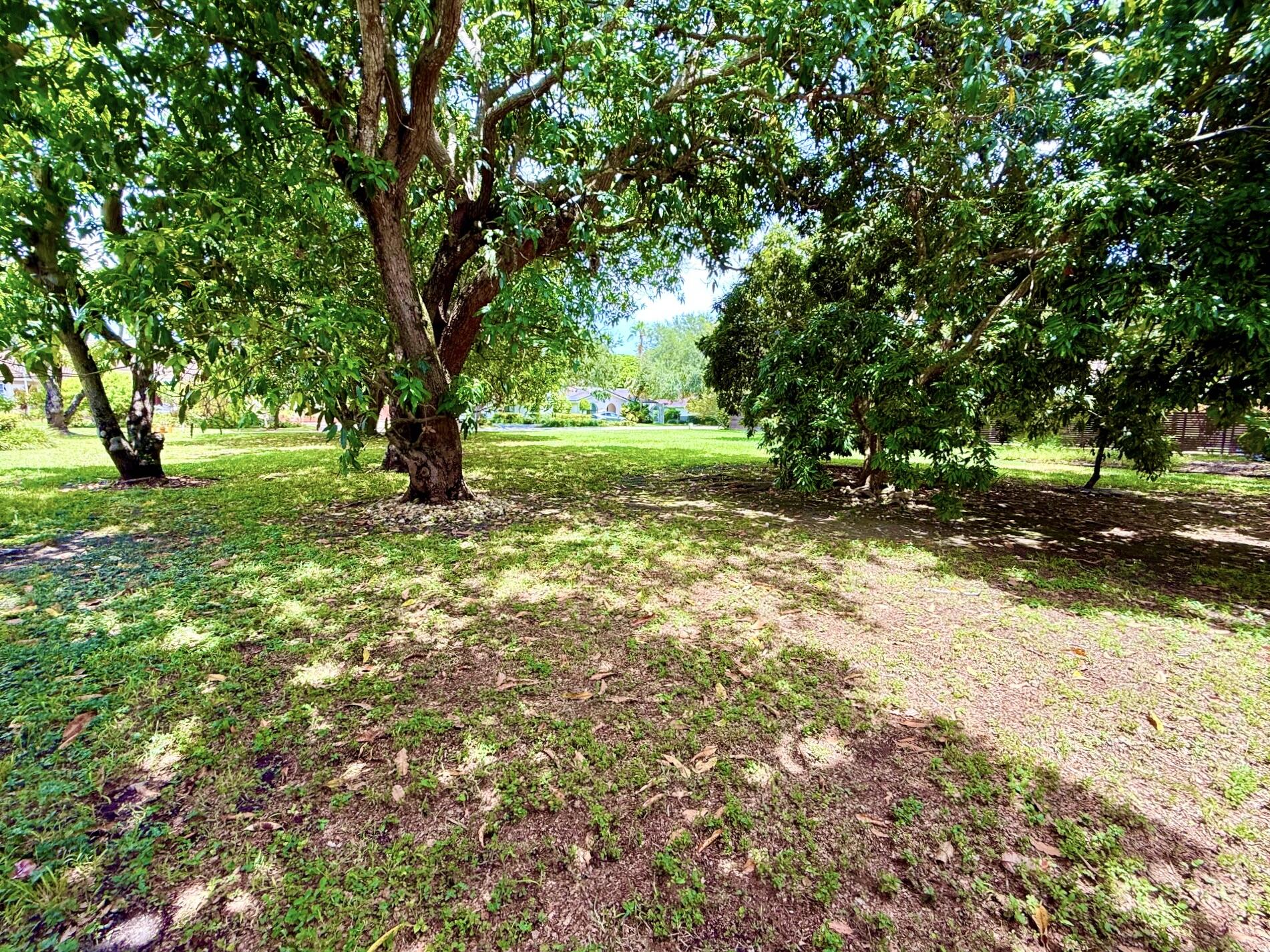7940 SW 166th St Palmetto Bay, FL 33157