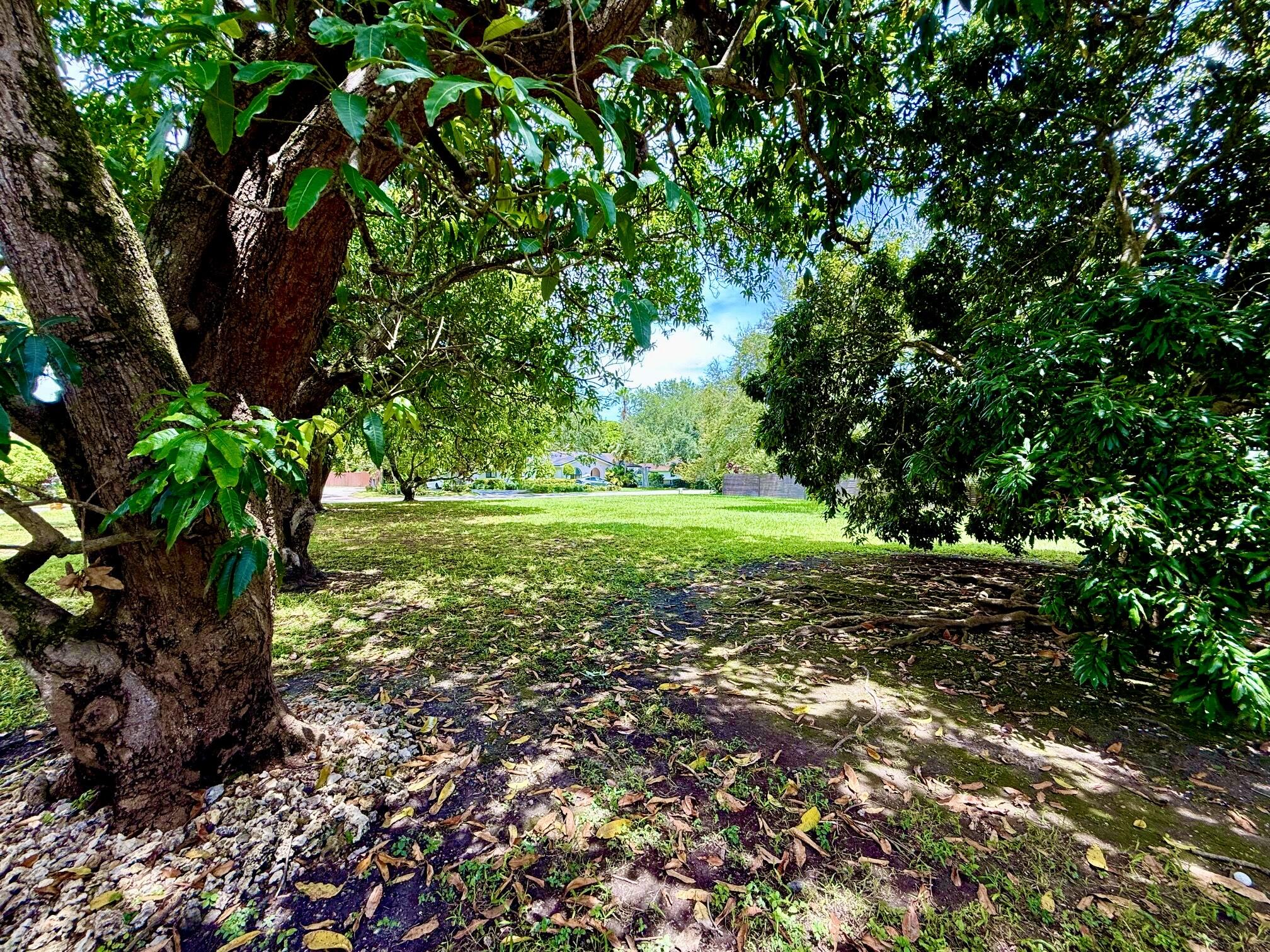 7940 SW 166th St Palmetto Bay, FL 33157