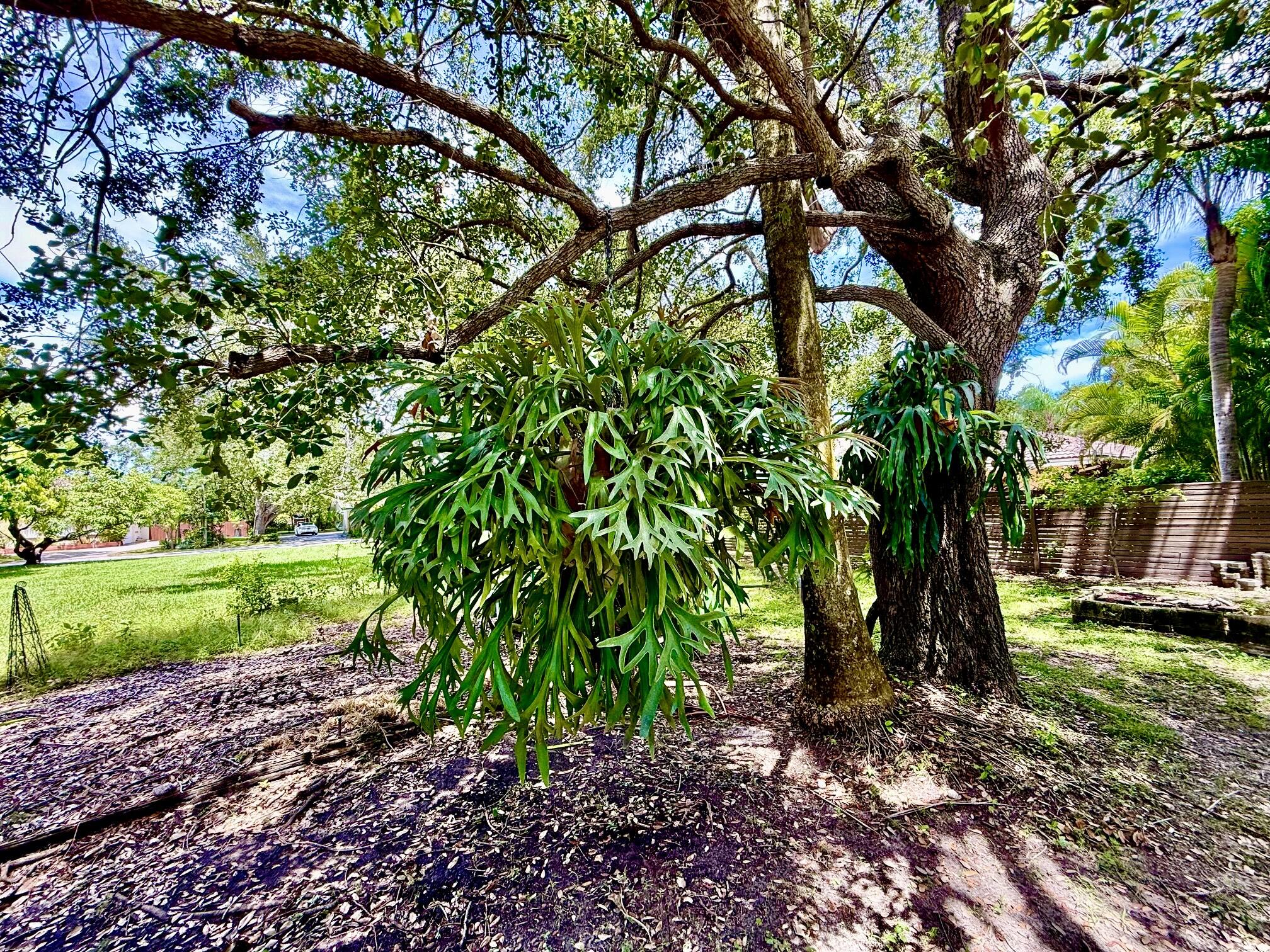 7940 SW 166th St Palmetto Bay, FL 33157