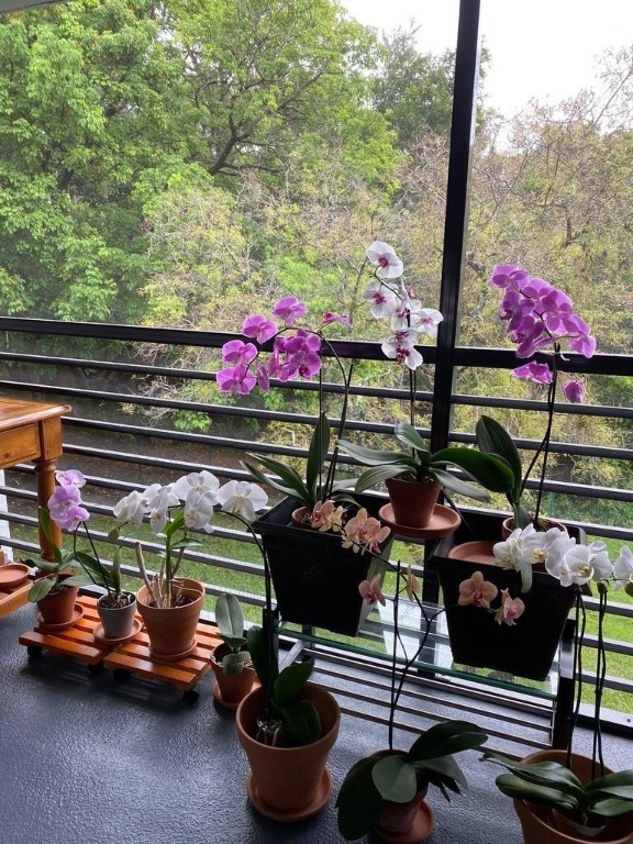 7515 NW 79th Ave #311 Tamarac, FL 33321