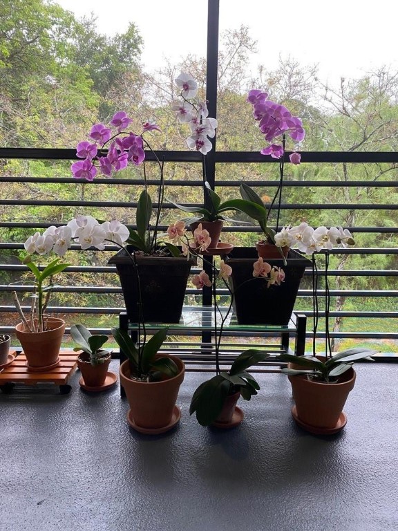 7515 NW 79th Ave #311 Tamarac, FL 33321