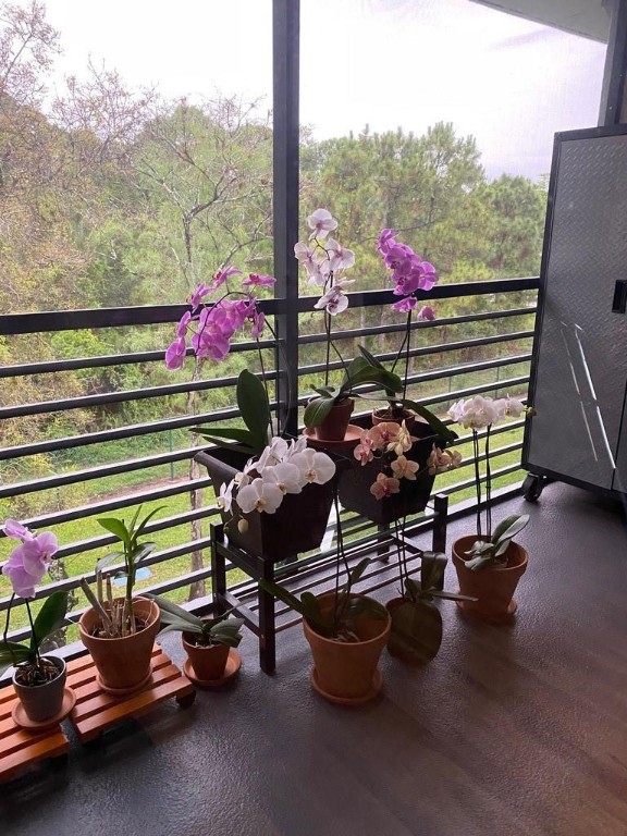 7515 NW 79th Ave #311 Tamarac, FL 33321