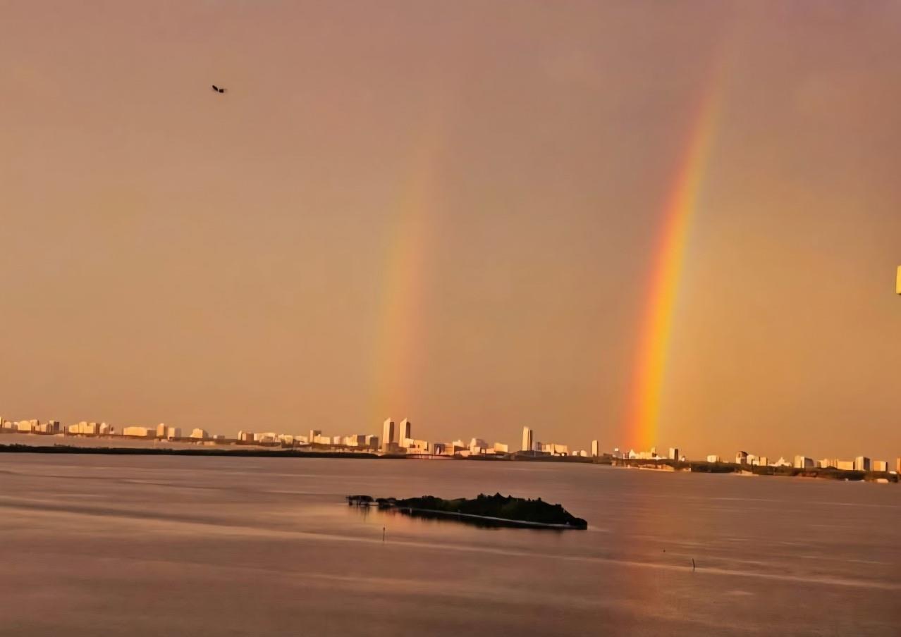 image Quantum on the Bay19