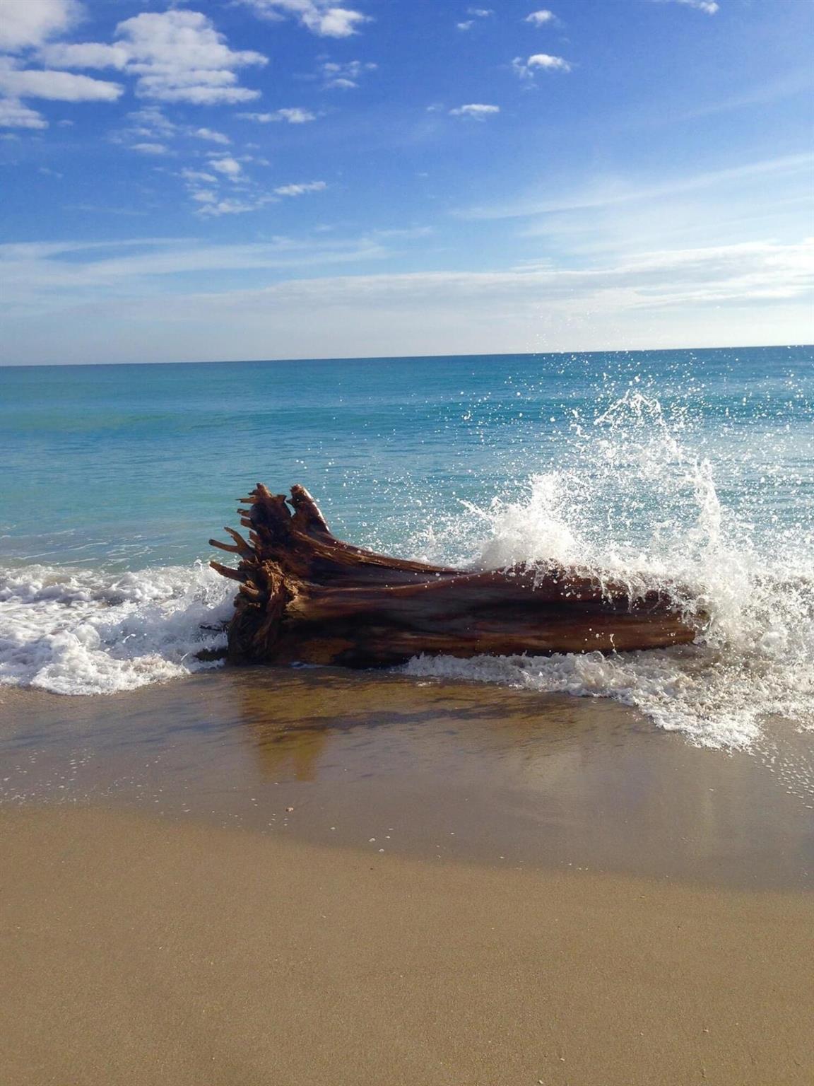 2324 23rd Ct #55d Jupiter, FL 33477