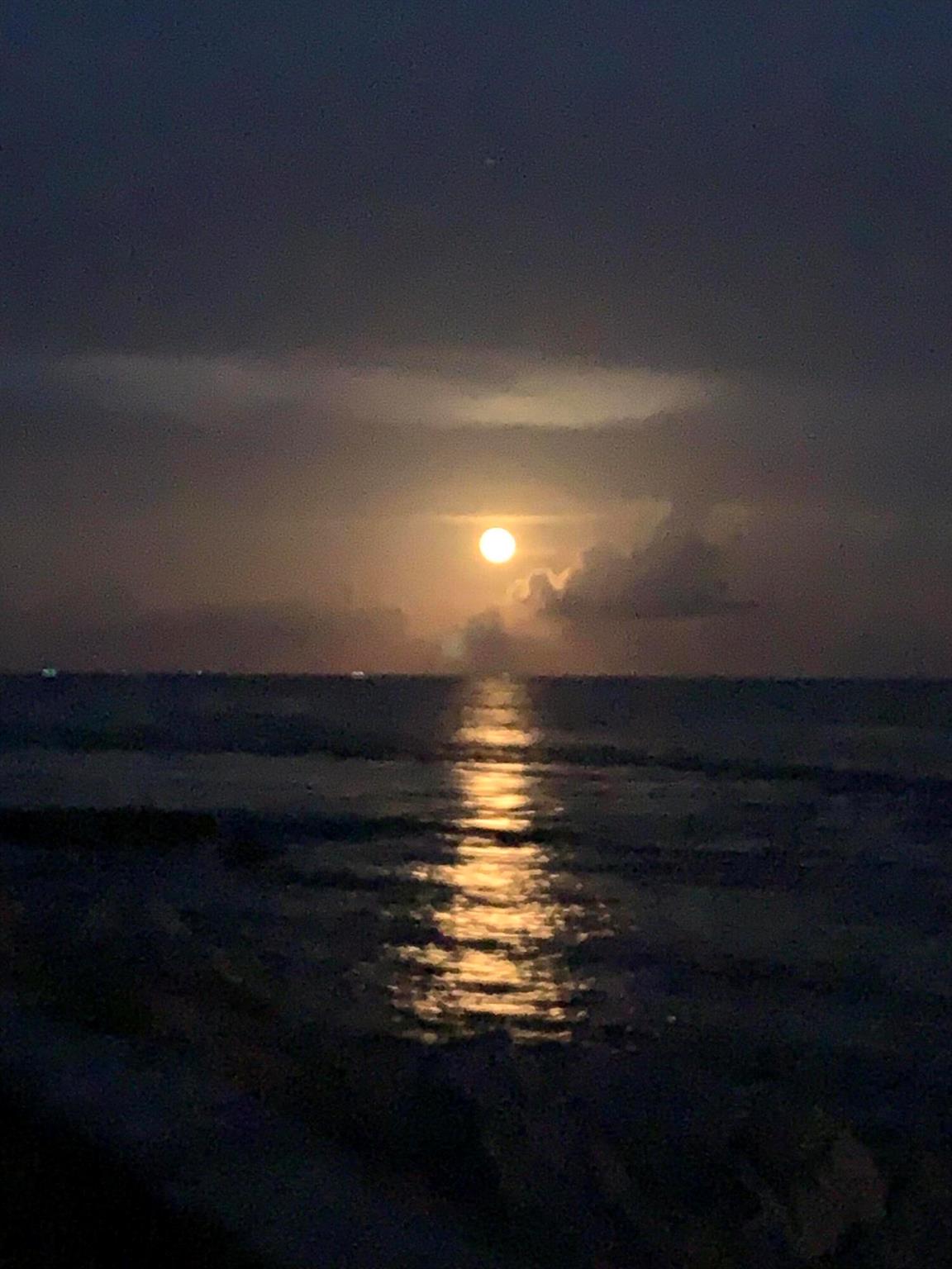 2324 23rd Ct #55d Jupiter, FL 33477