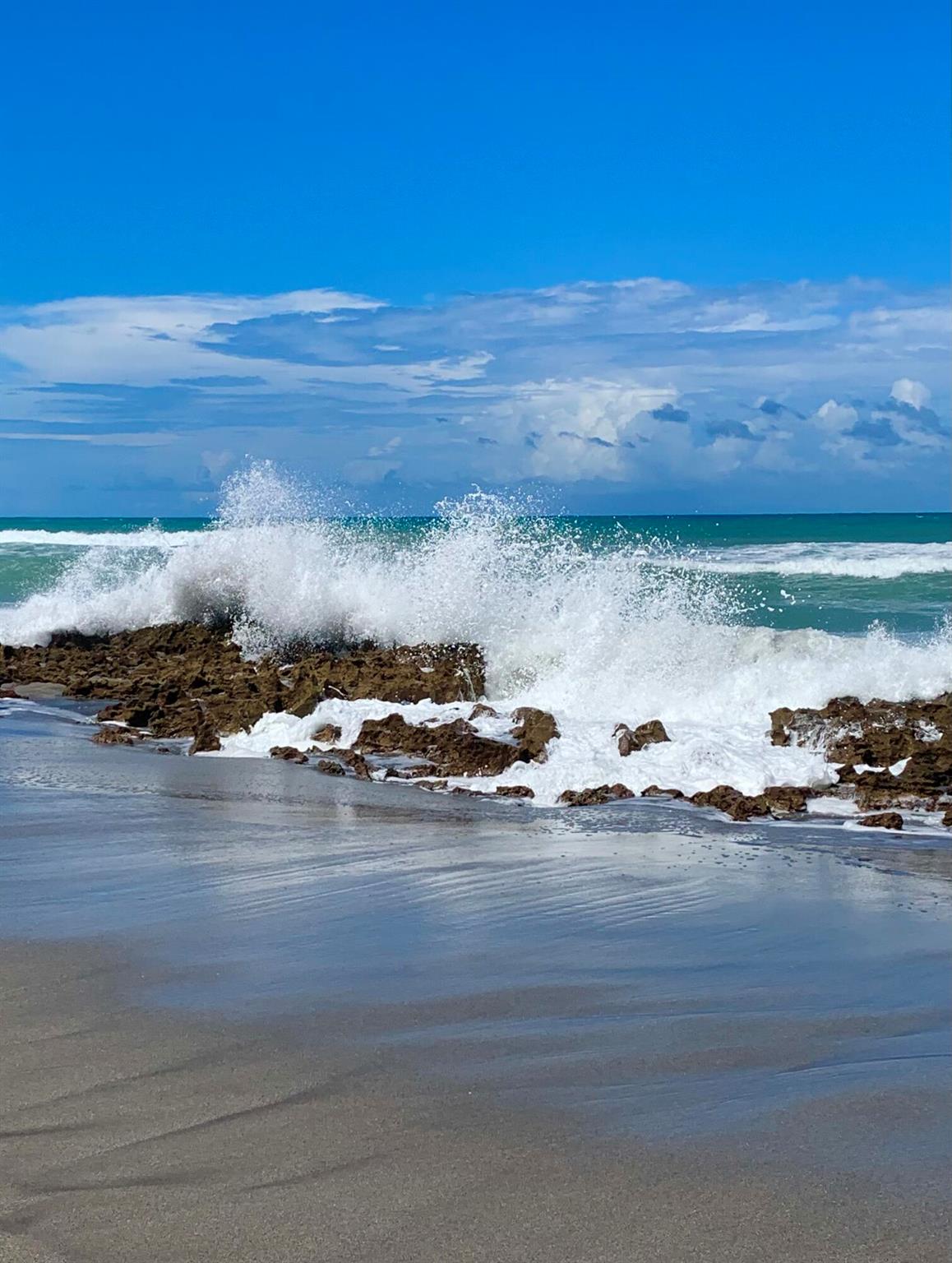 2324 23rd Ct #55d Jupiter, FL 33477