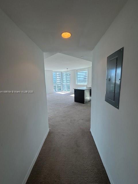 image 500 Brickell16