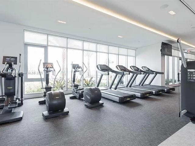 image MARINA PALMS43