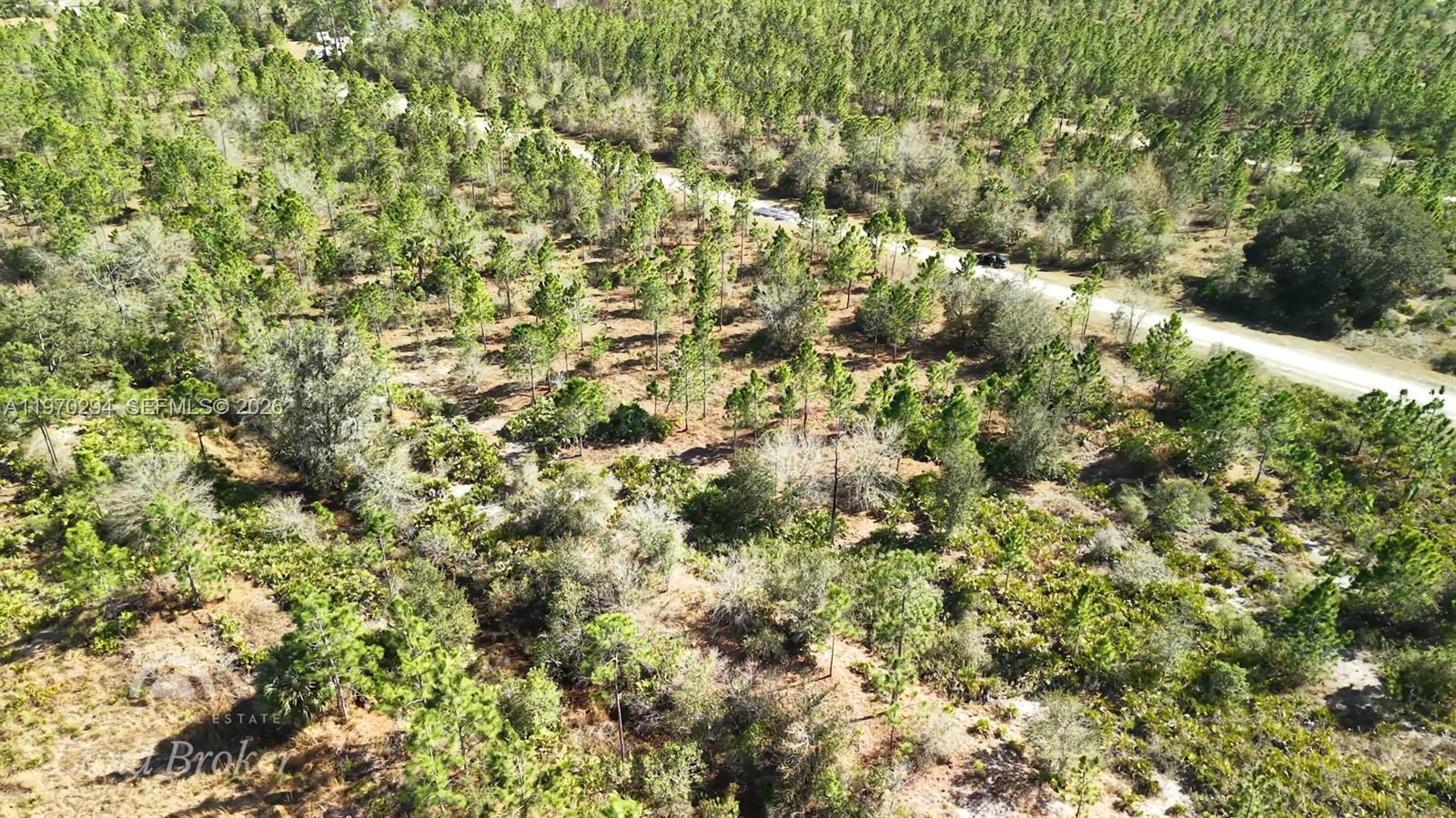 Portulaca Dr Other, FL 33855