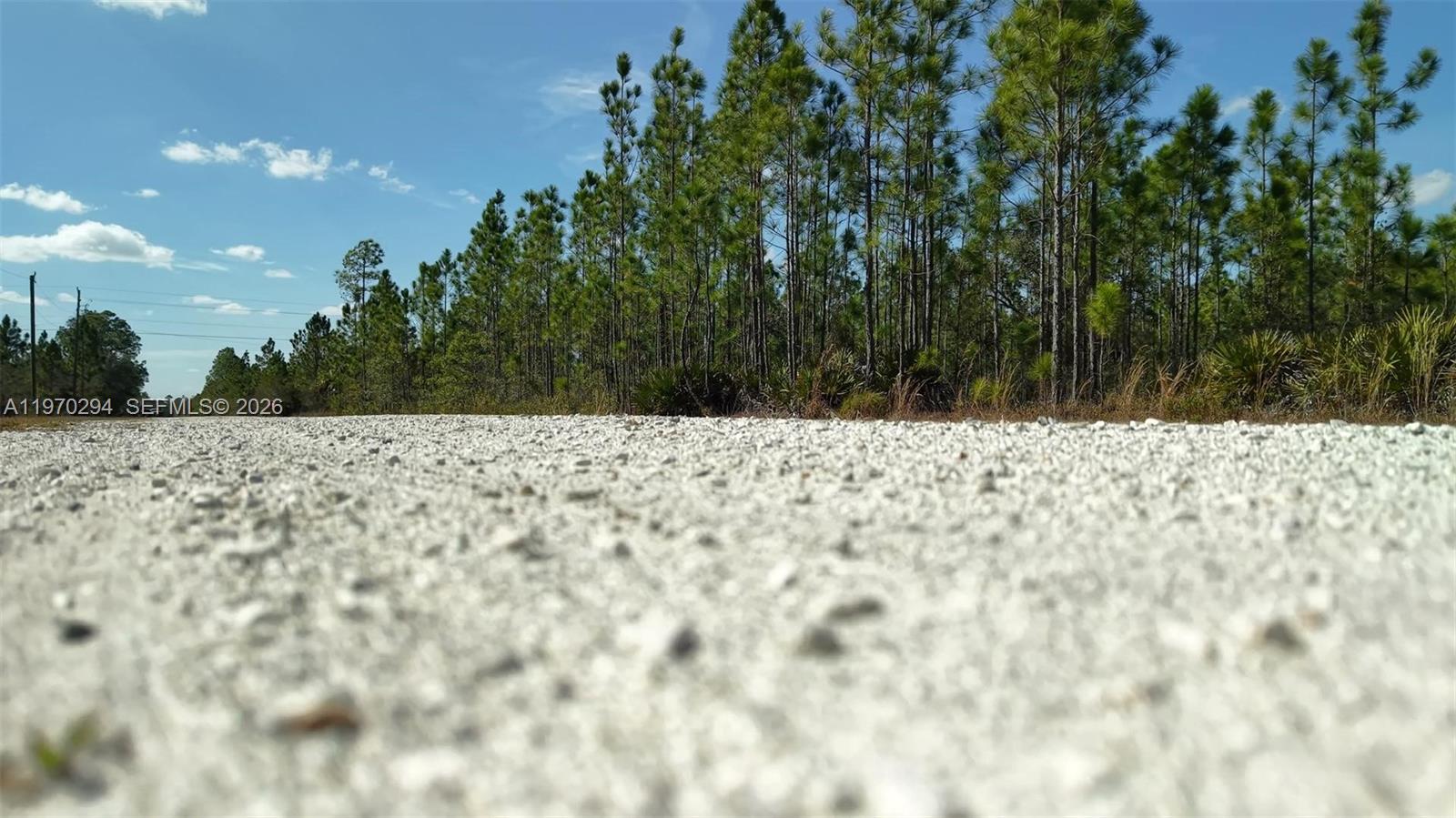 Portulaca Dr Other, FL 33855