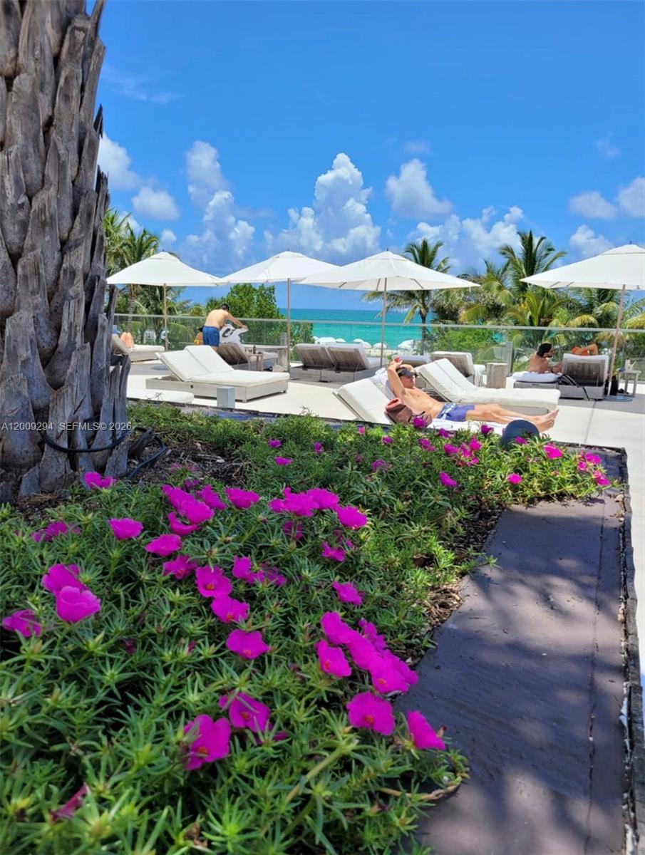 2301 Collins Ave #427 Miami Beach, FL 33139