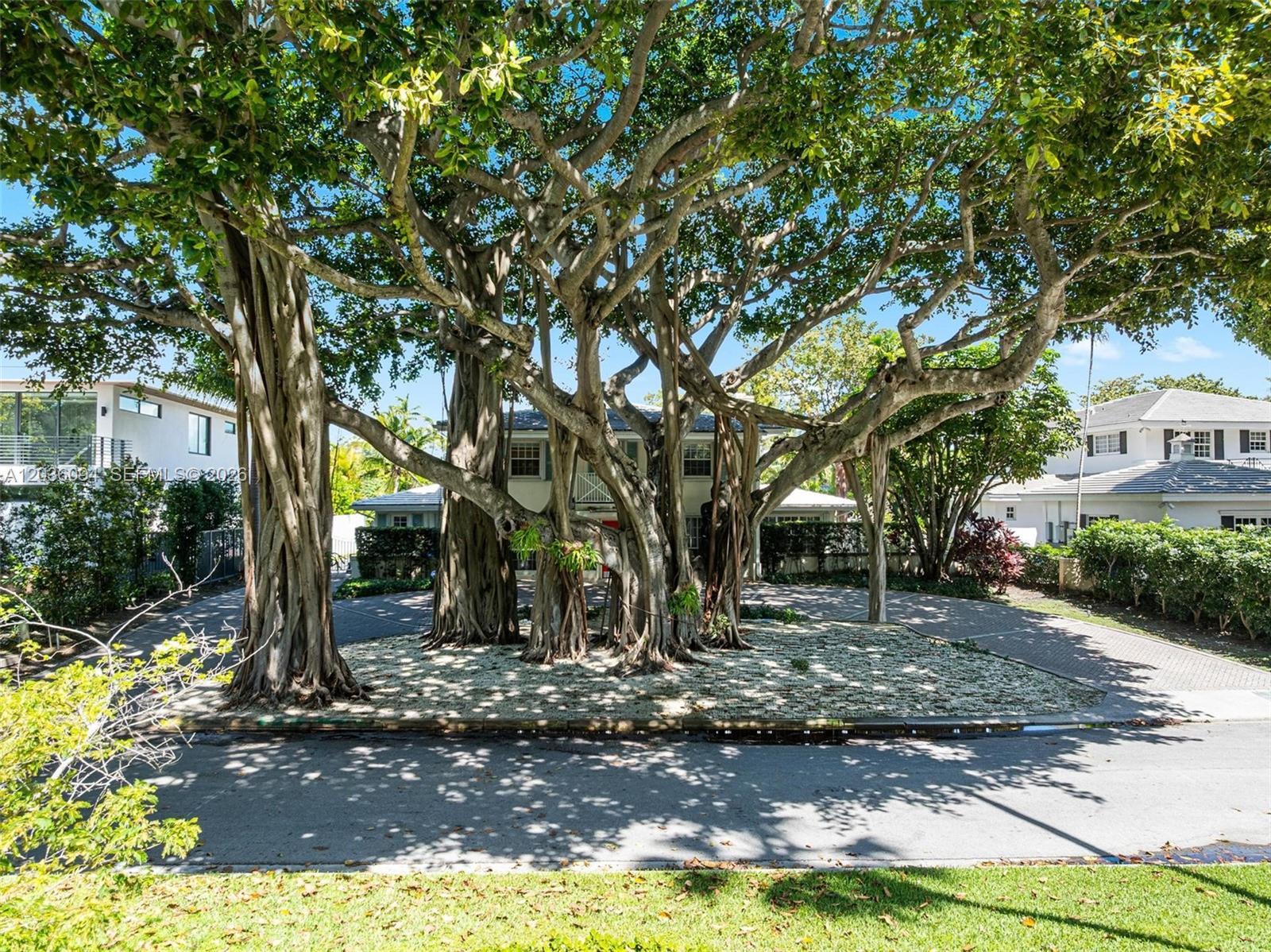 655 Buttonwood Miami, FL 33137