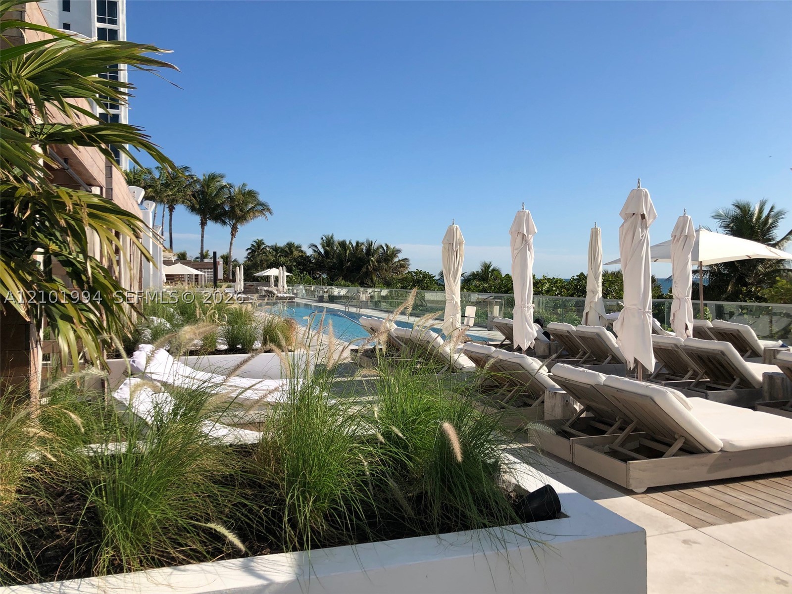 image Roney Palace13
