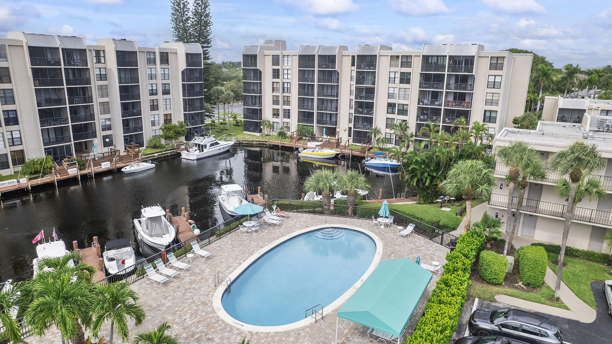 8 N Royal Palm #6040