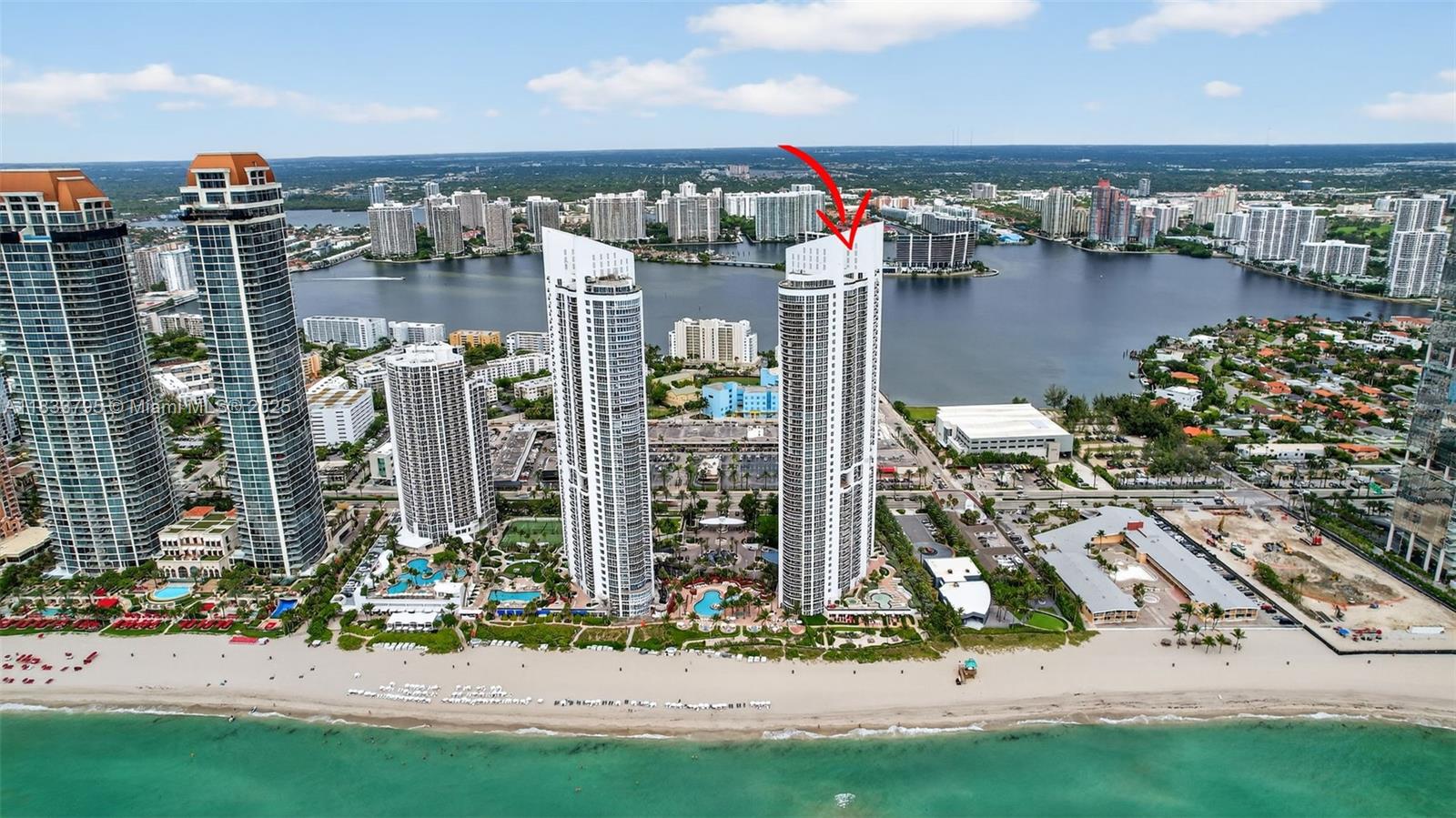 image Trump Royal71